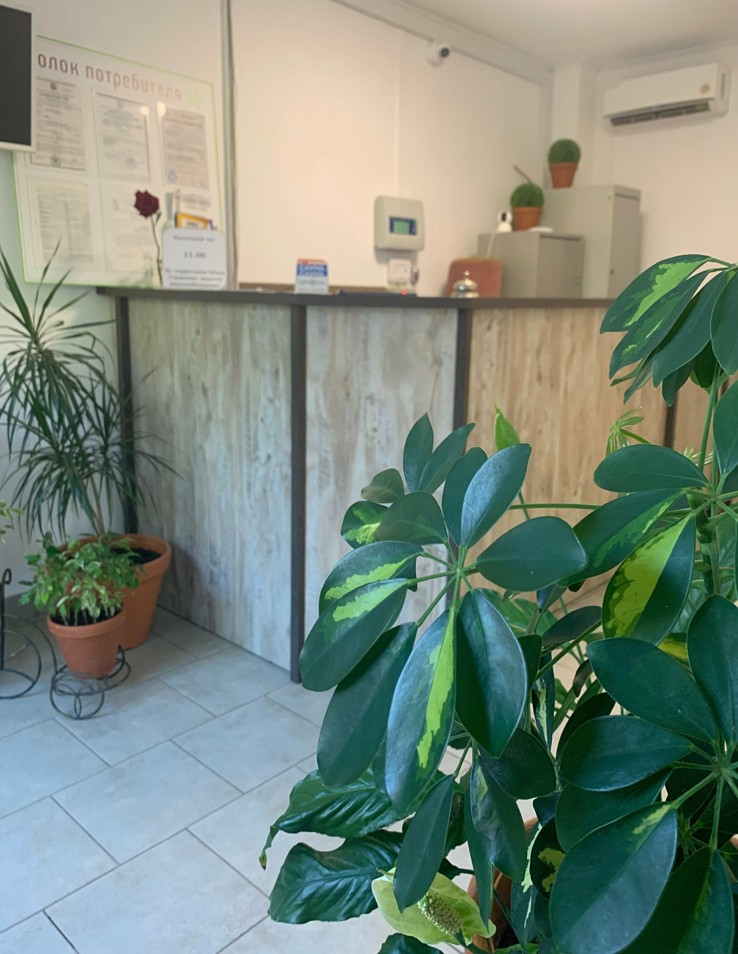 Бюджетный двухместный номер с 2 отдельными кроватями