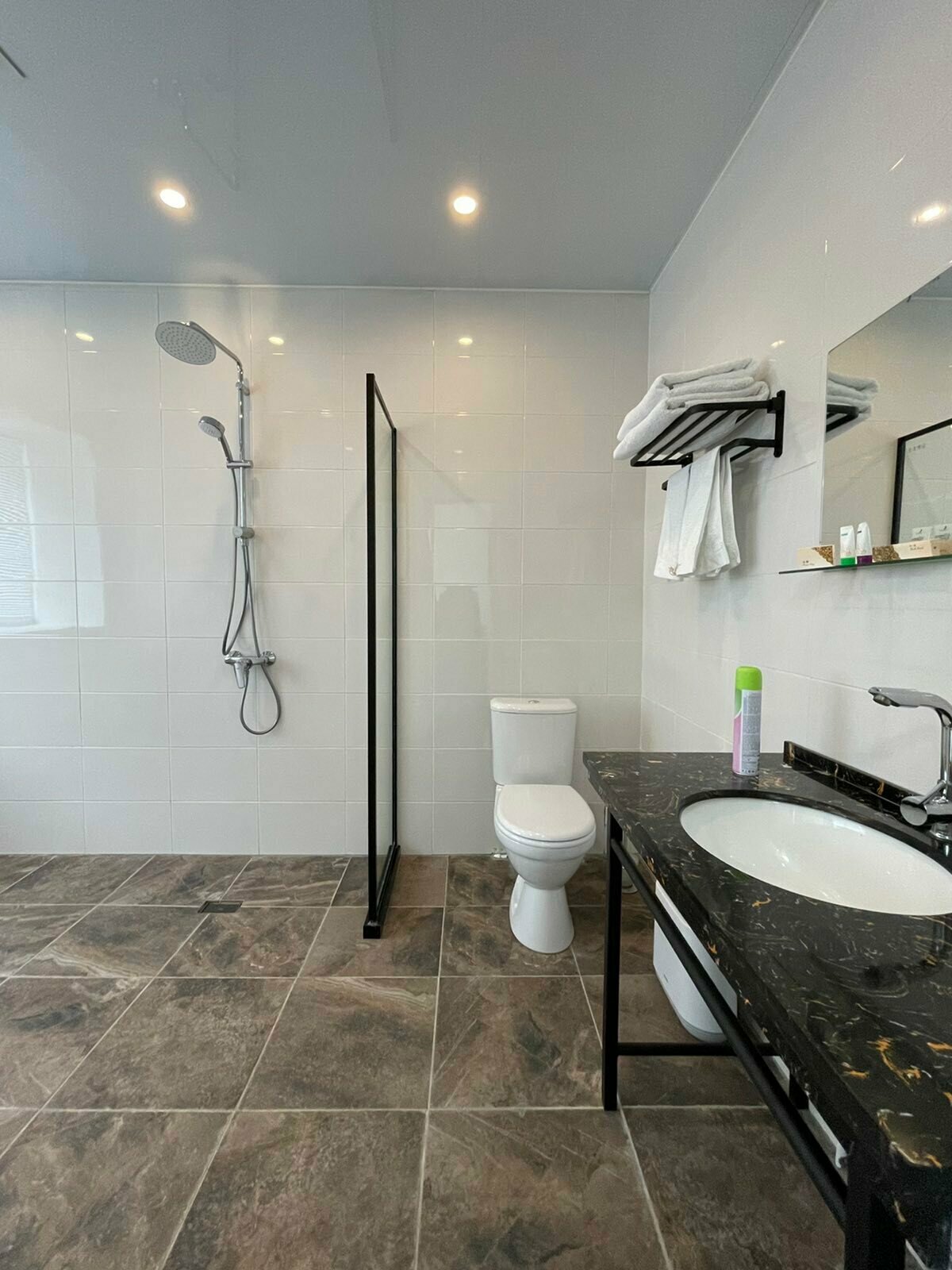 Двухместный номер с 1 кроватью