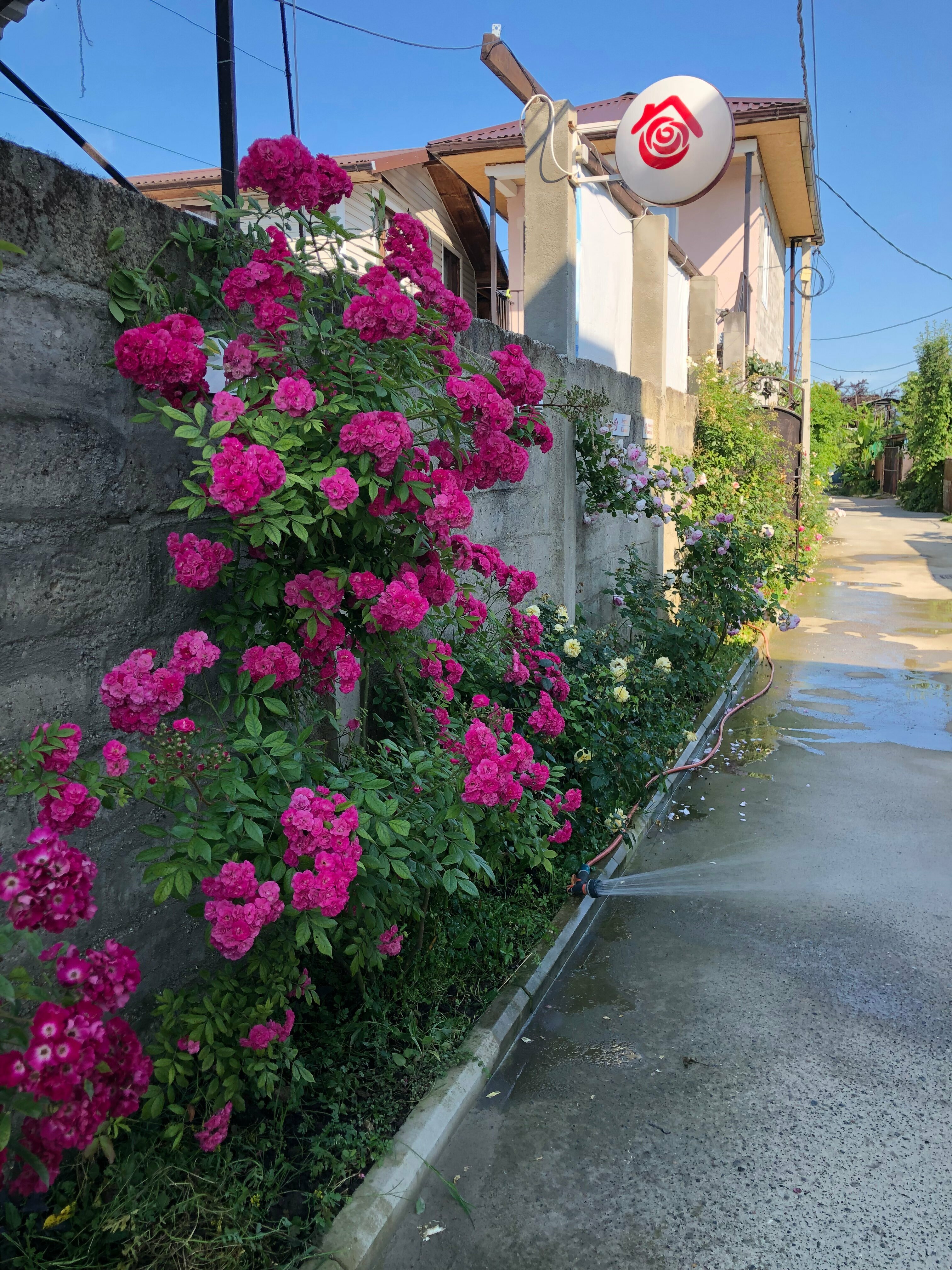 Двухместный номер с 1 кроватью или 2 отдельными кроватями