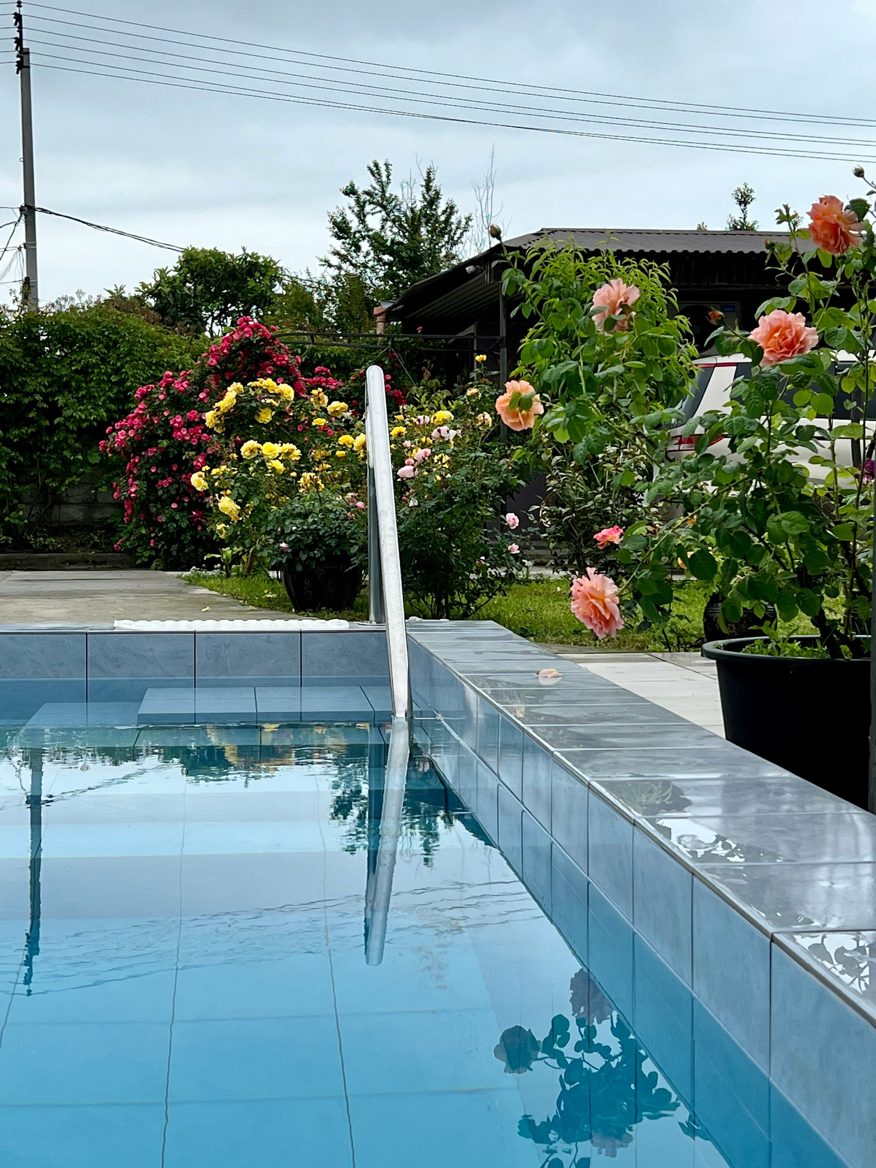 Двухместный номер с 1 кроватью или 2 отдельными кроватями