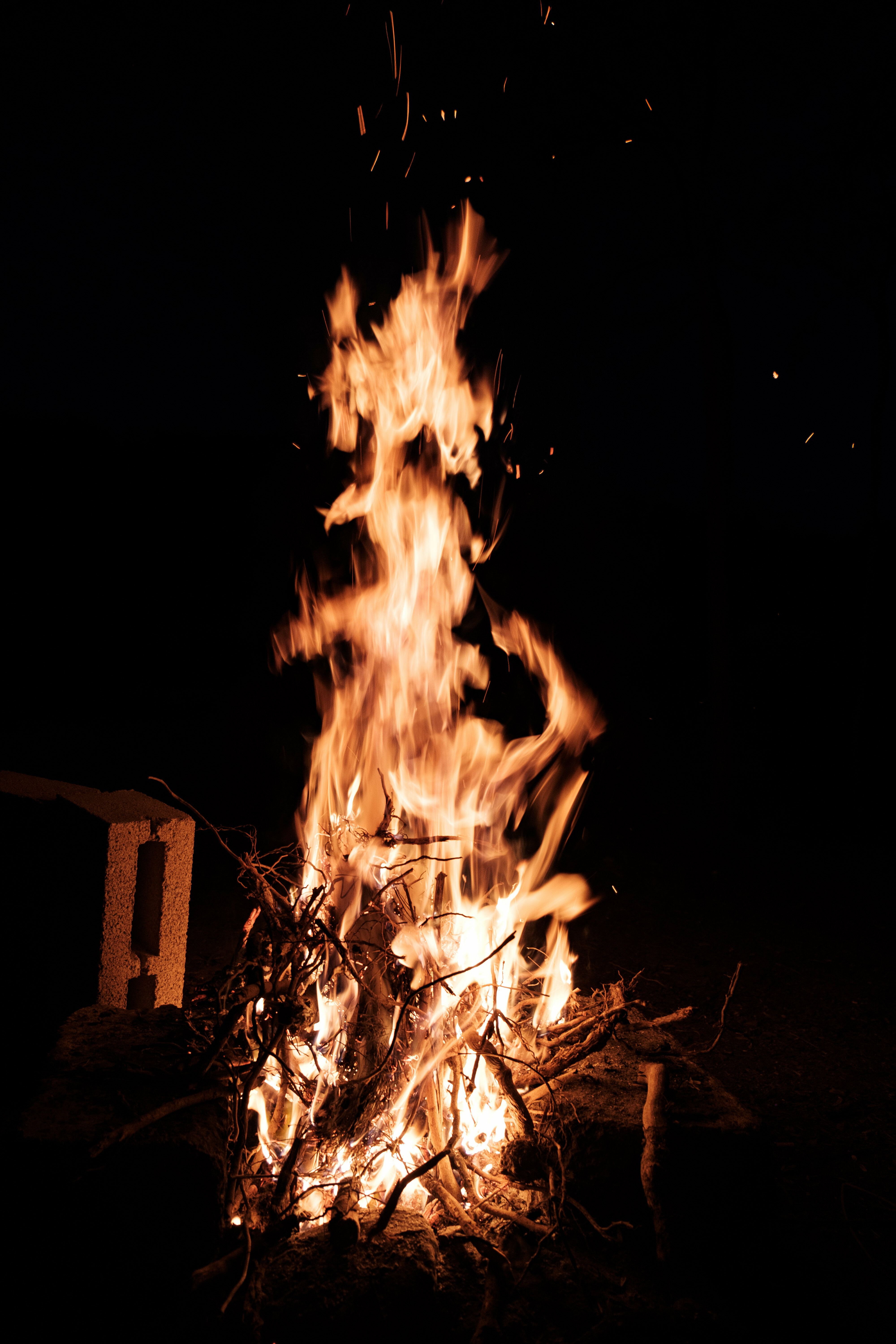 Дом с видом на лес