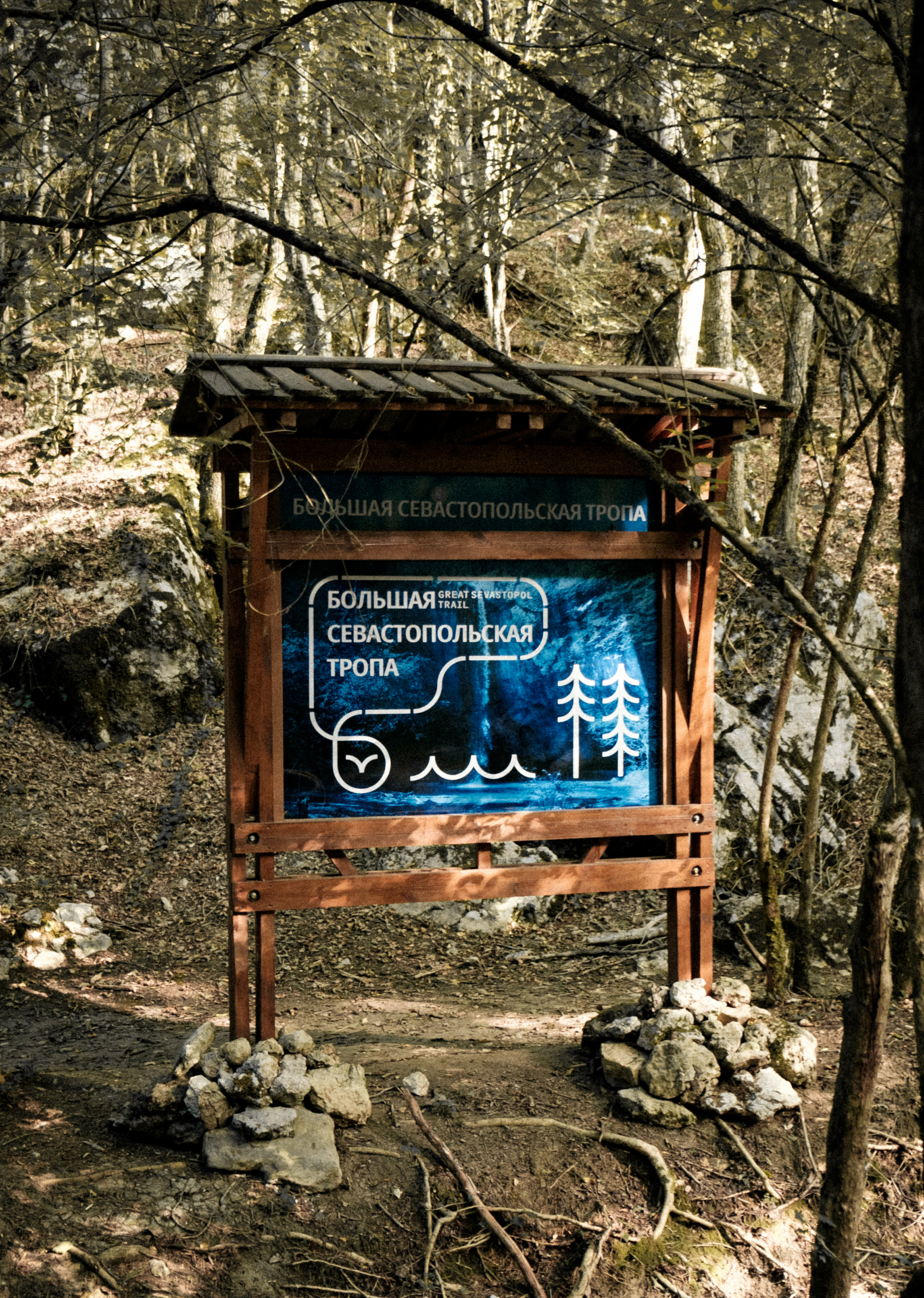 Дом с видом на лес