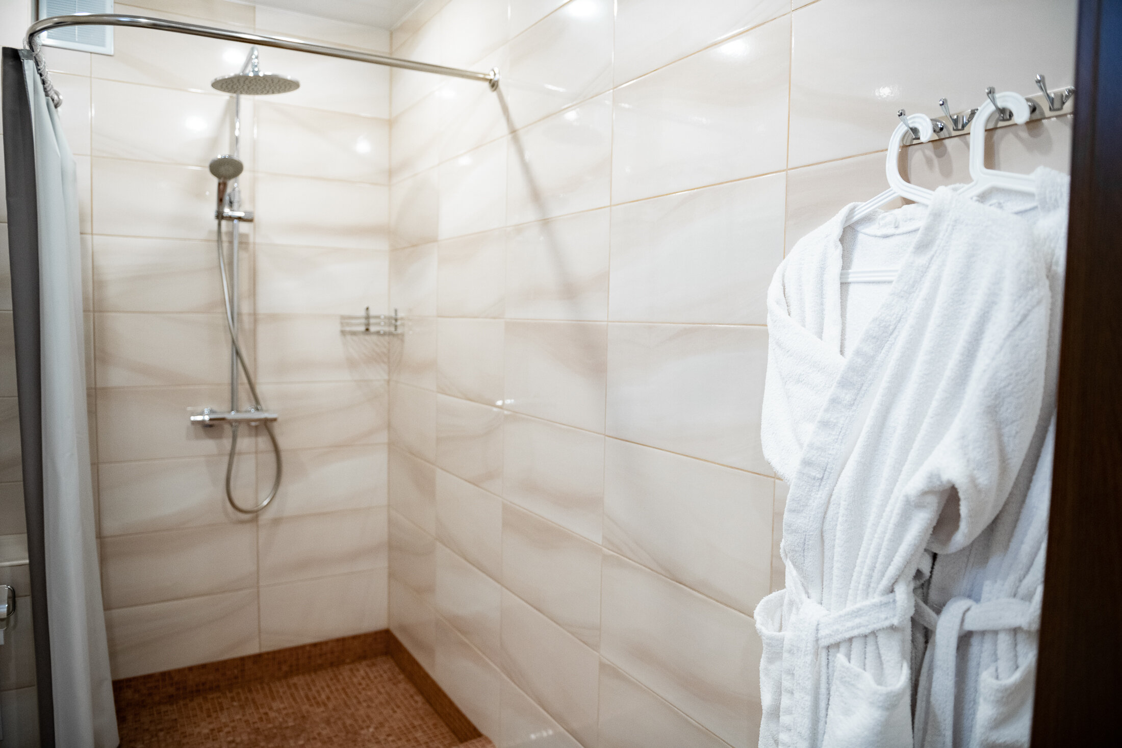 Двухместный номер с 1 кроватью и балконом