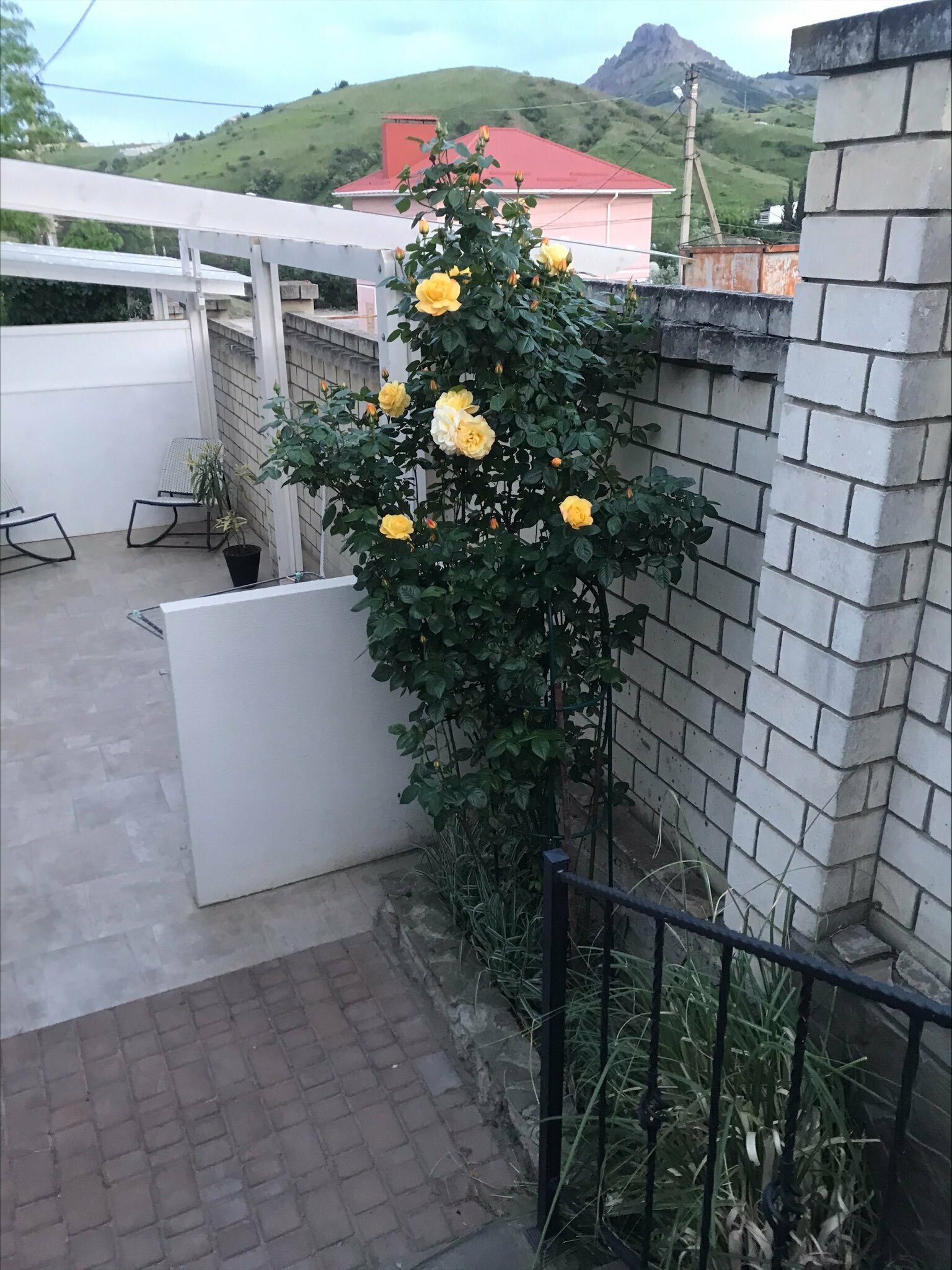 Улучшенный двухместный номер с 1 кроватью