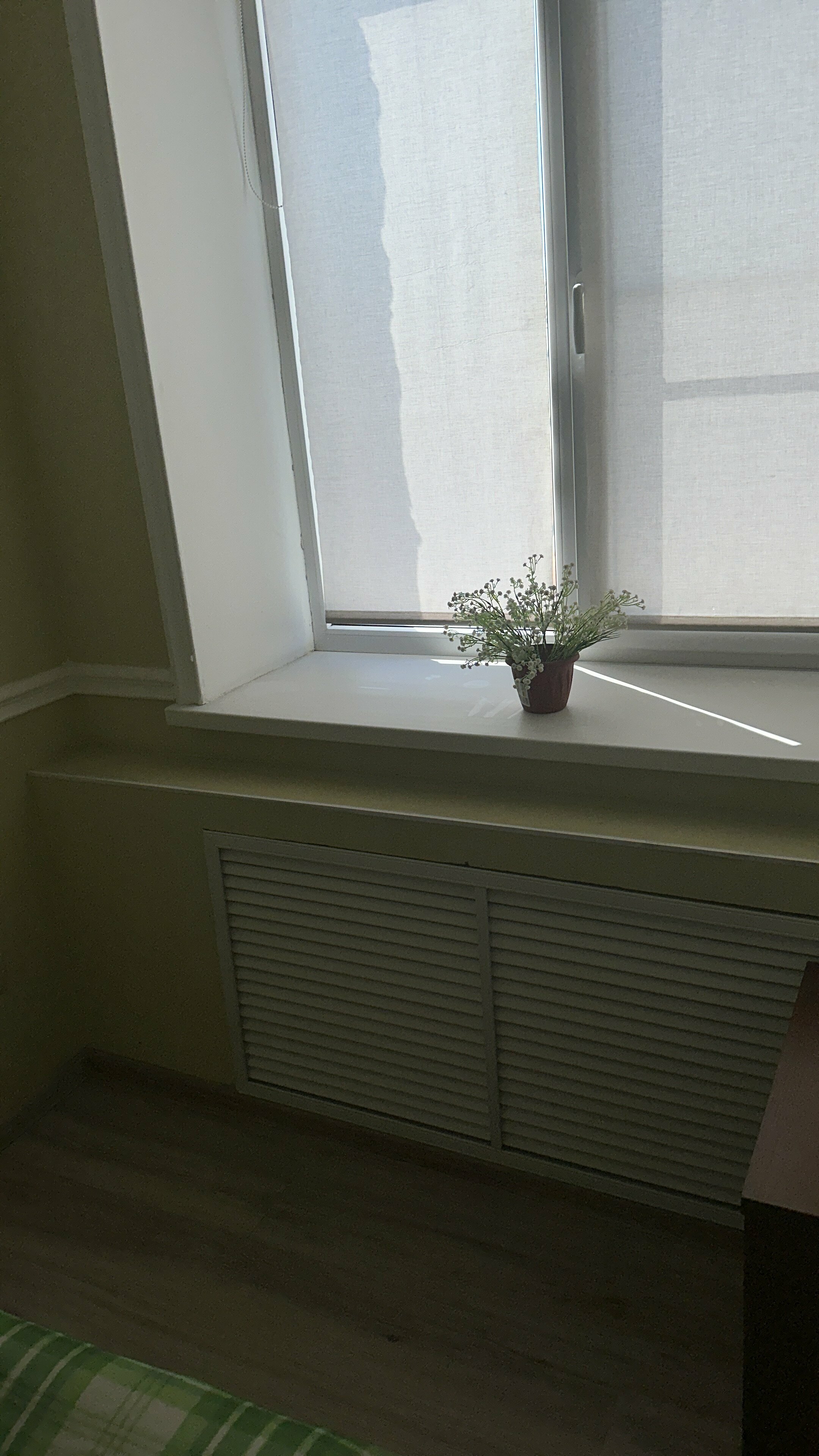 Бюджетный одноместный номер