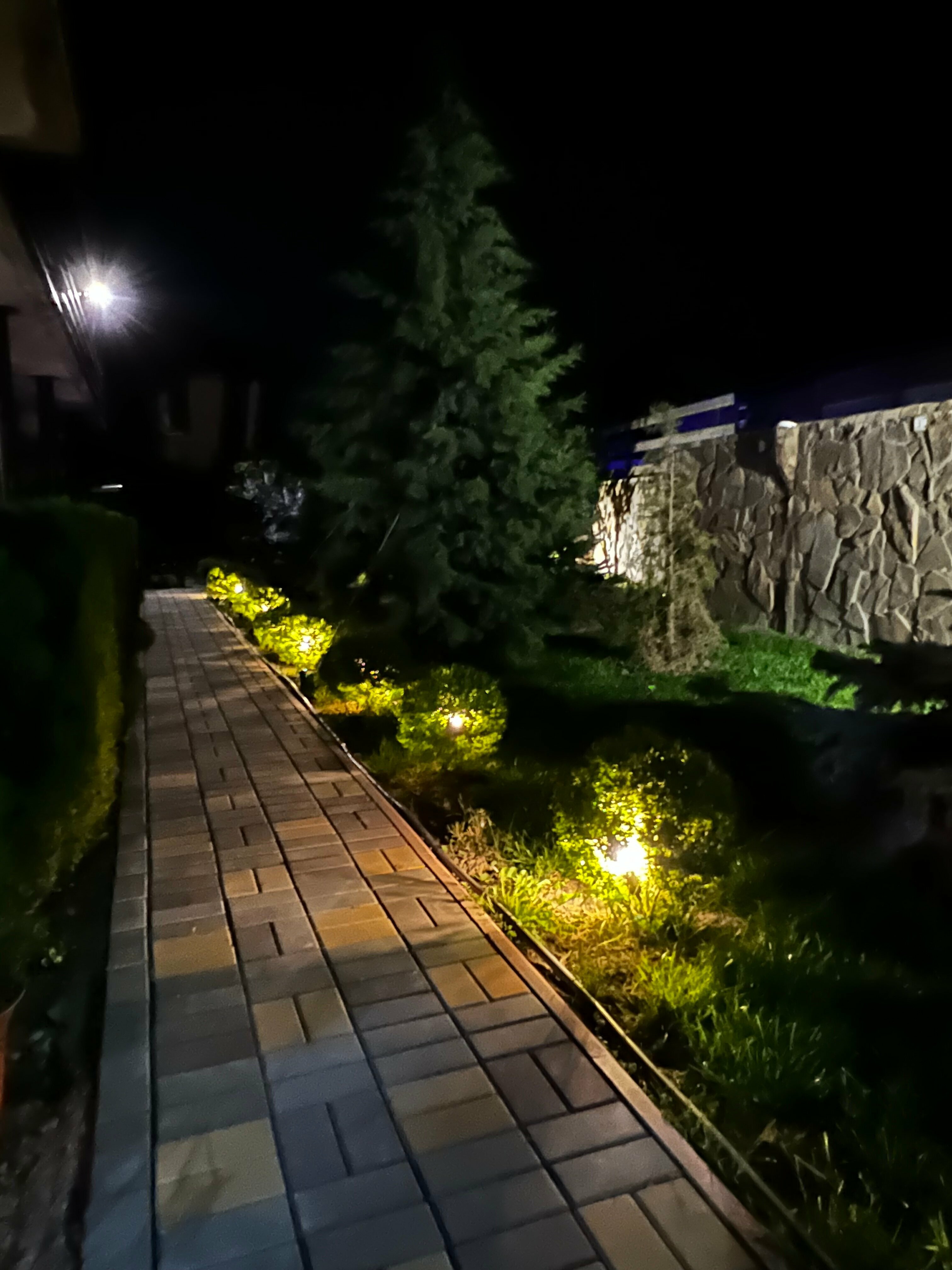 Апартаменты с 1 спальней