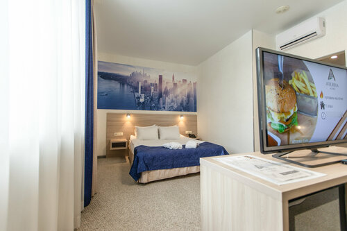 Двухместный номер Делюкс с 1 кроватью