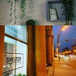 Двухместный номер в Shelterz Парк Горького