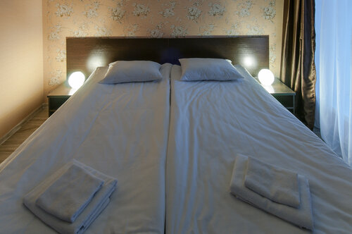 Двухместный номер с 2 отдельными кроватями в Базилик