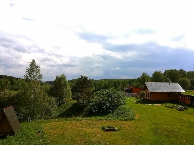 Дом с видом на лес