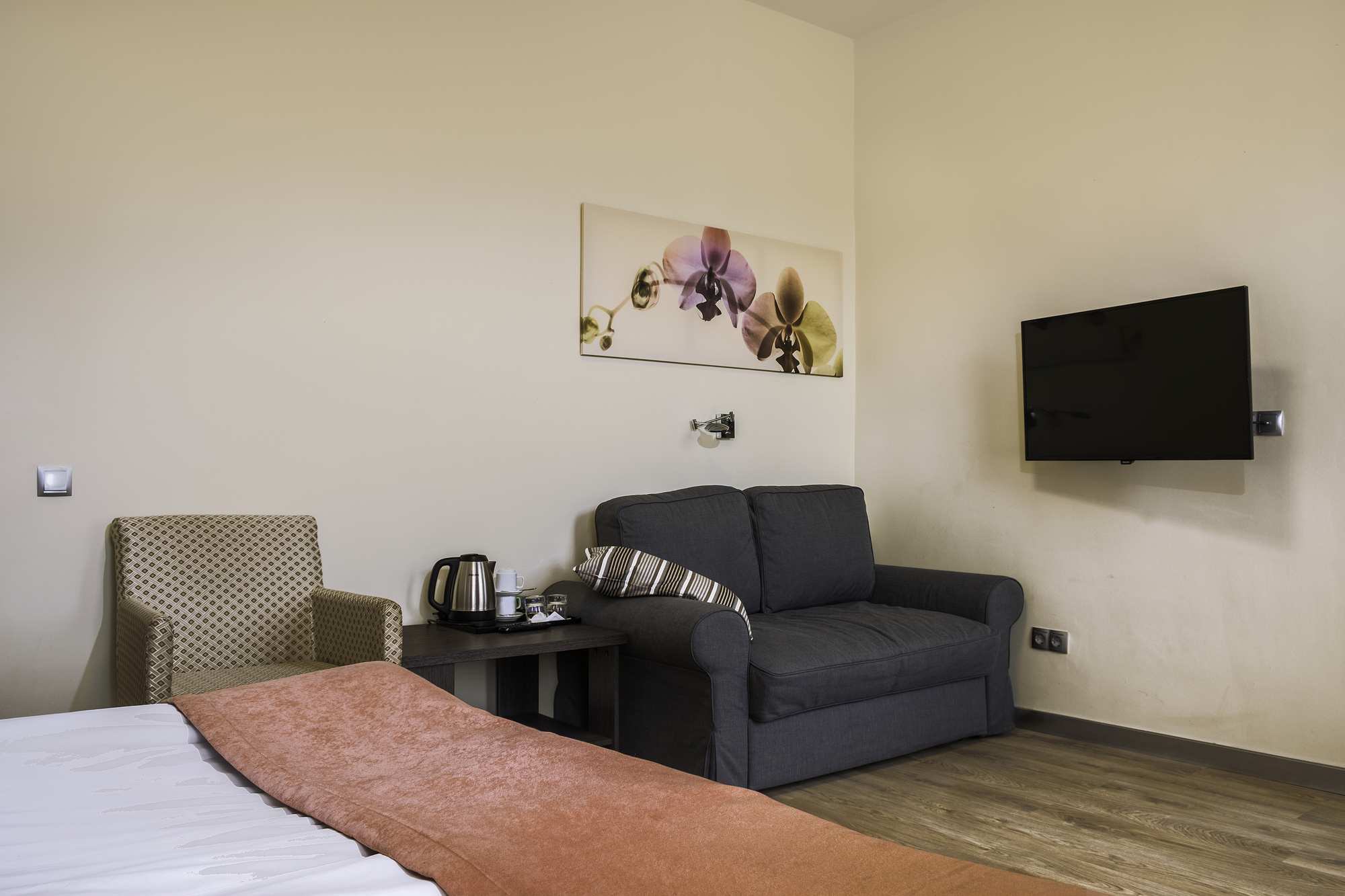 Семейный двухместный номер с 1 кроватью