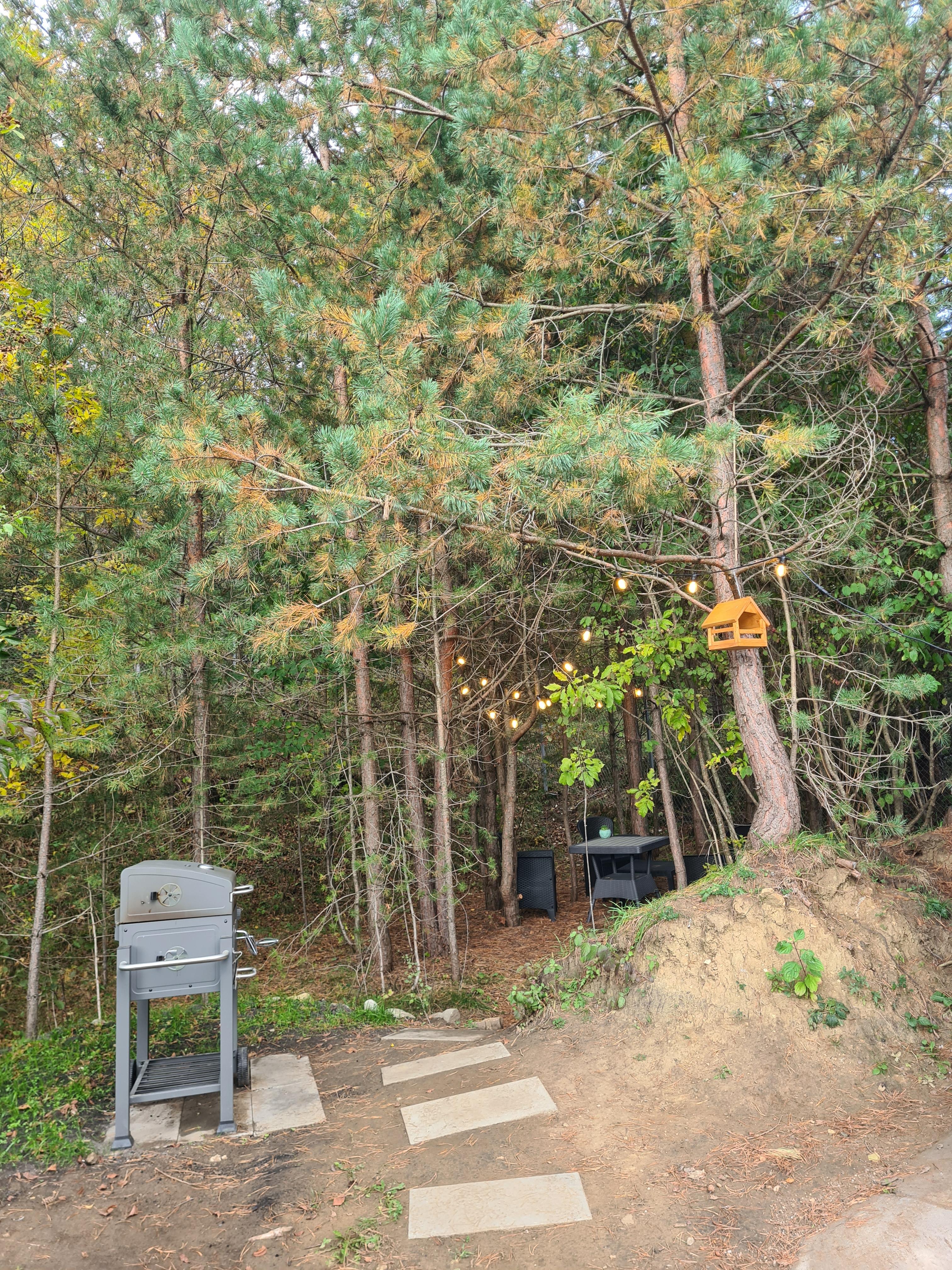 Двухуровневый четырехместный номер