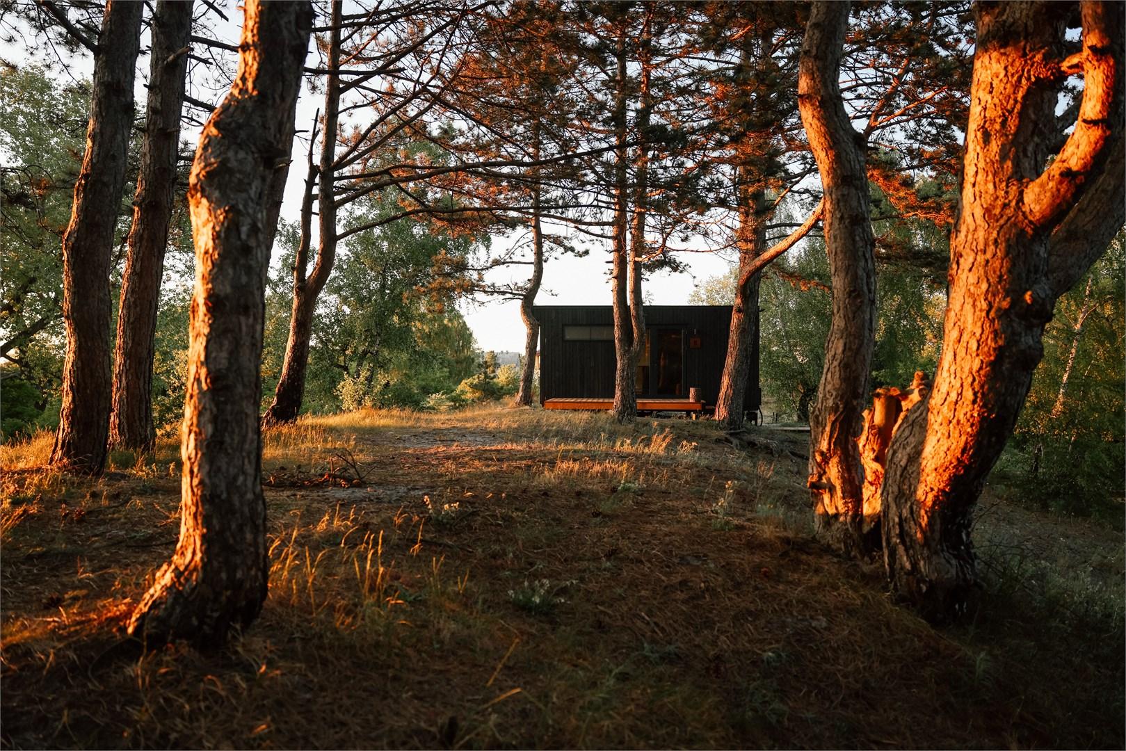 Малый Хитте с террасой и панорамным окном | красивый вид на зеленую территорию