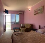 Большой двухместный номер с 1 кроватью в Maxim