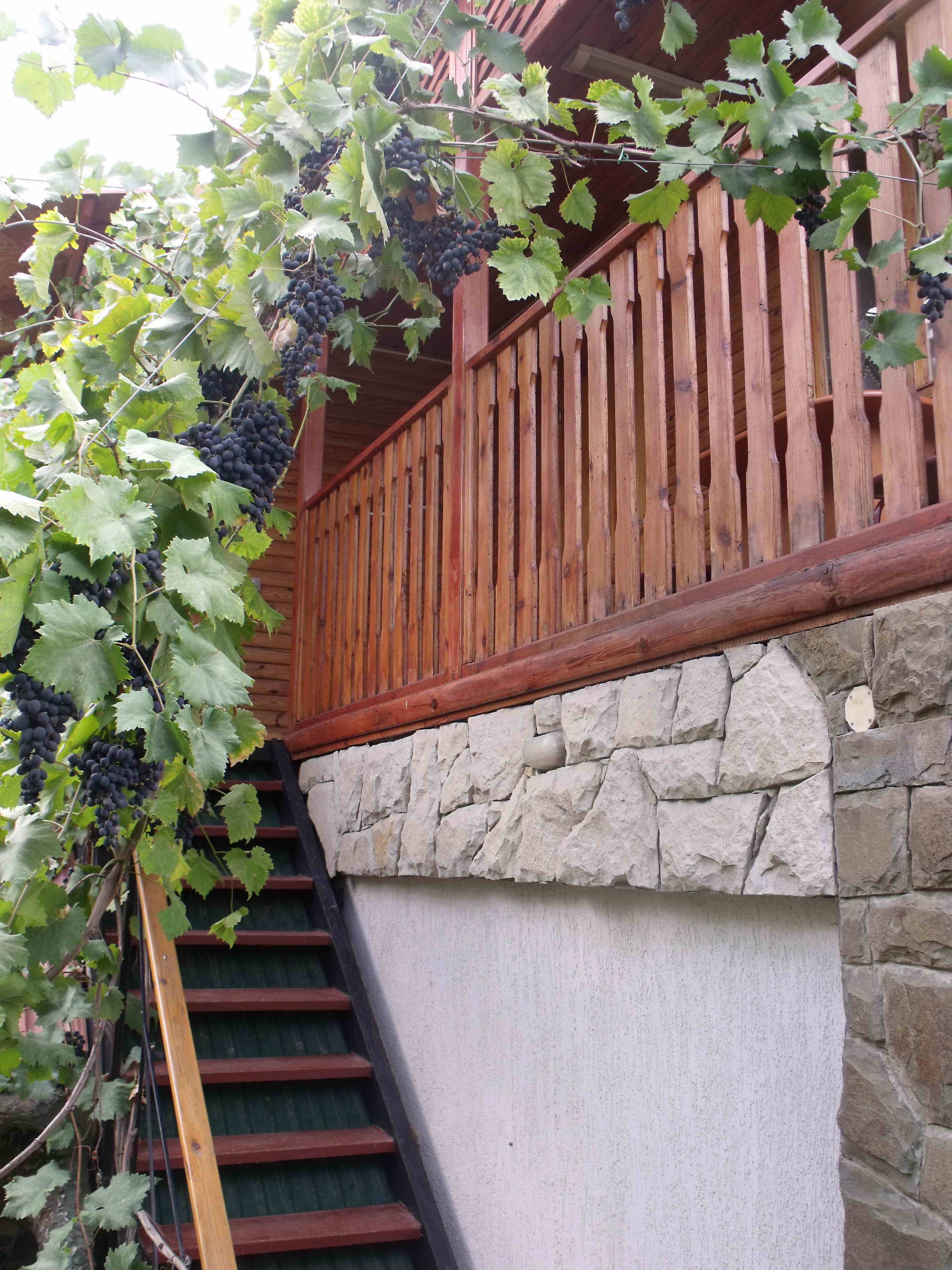 Двухместный номер Делюкс с 1 кроватью и балконом