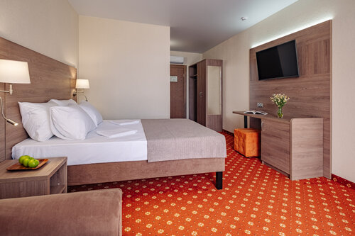 Двухместный номер с 1 кроватью и балконом в Лето·отель