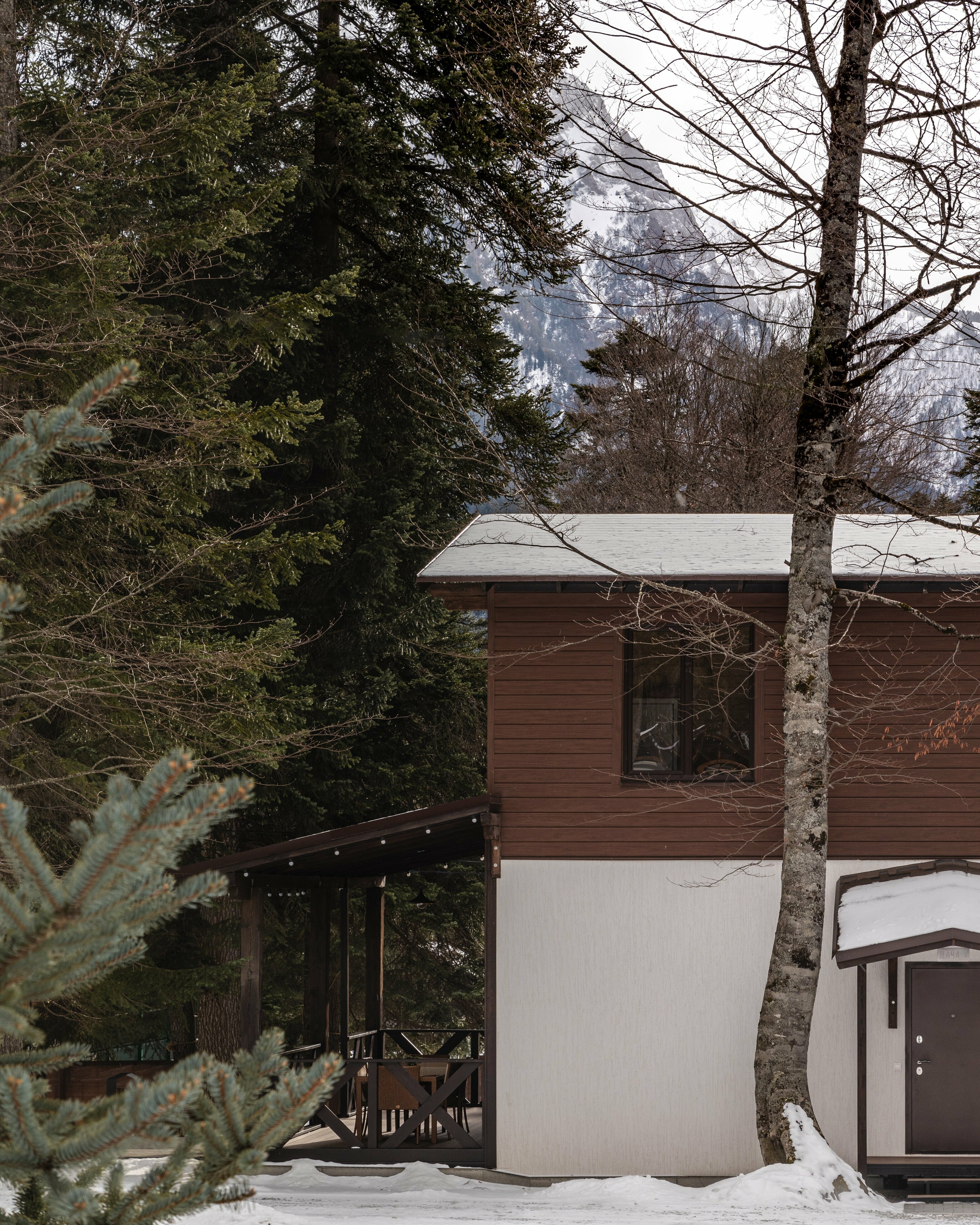 Домик Макси