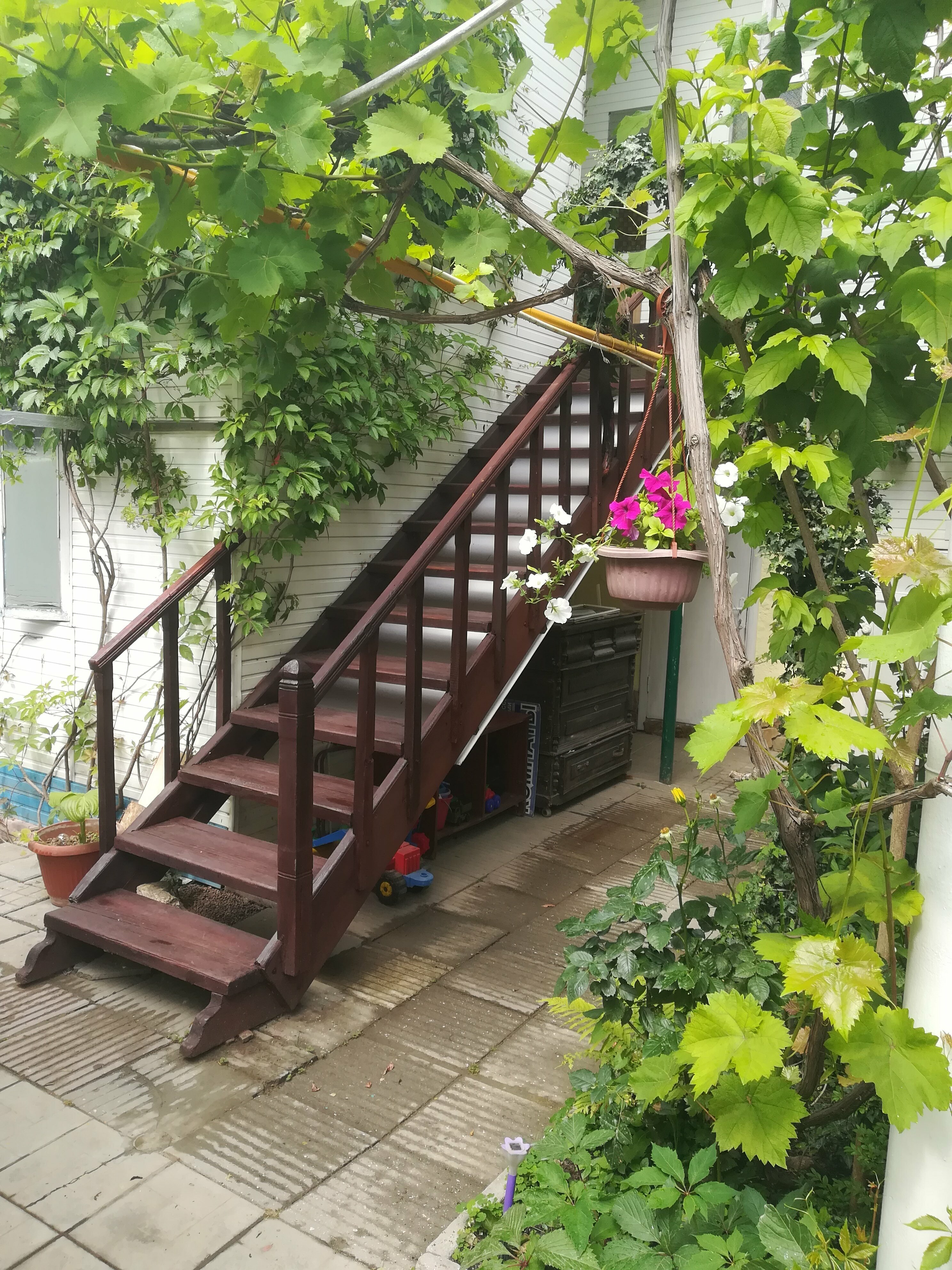 Бюджетный двухместный номер с 1 кроватью