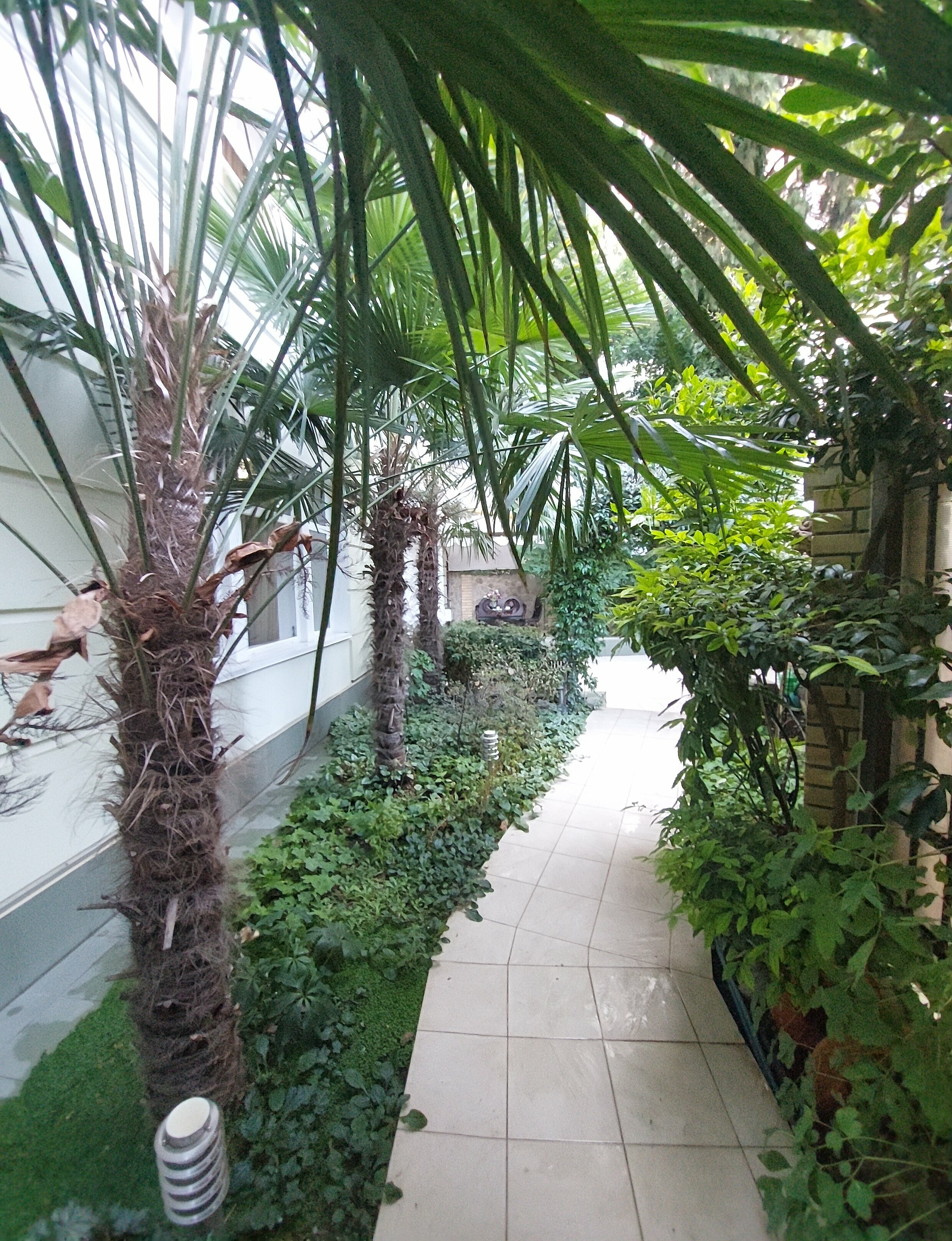 Апартаменты с видом на сад