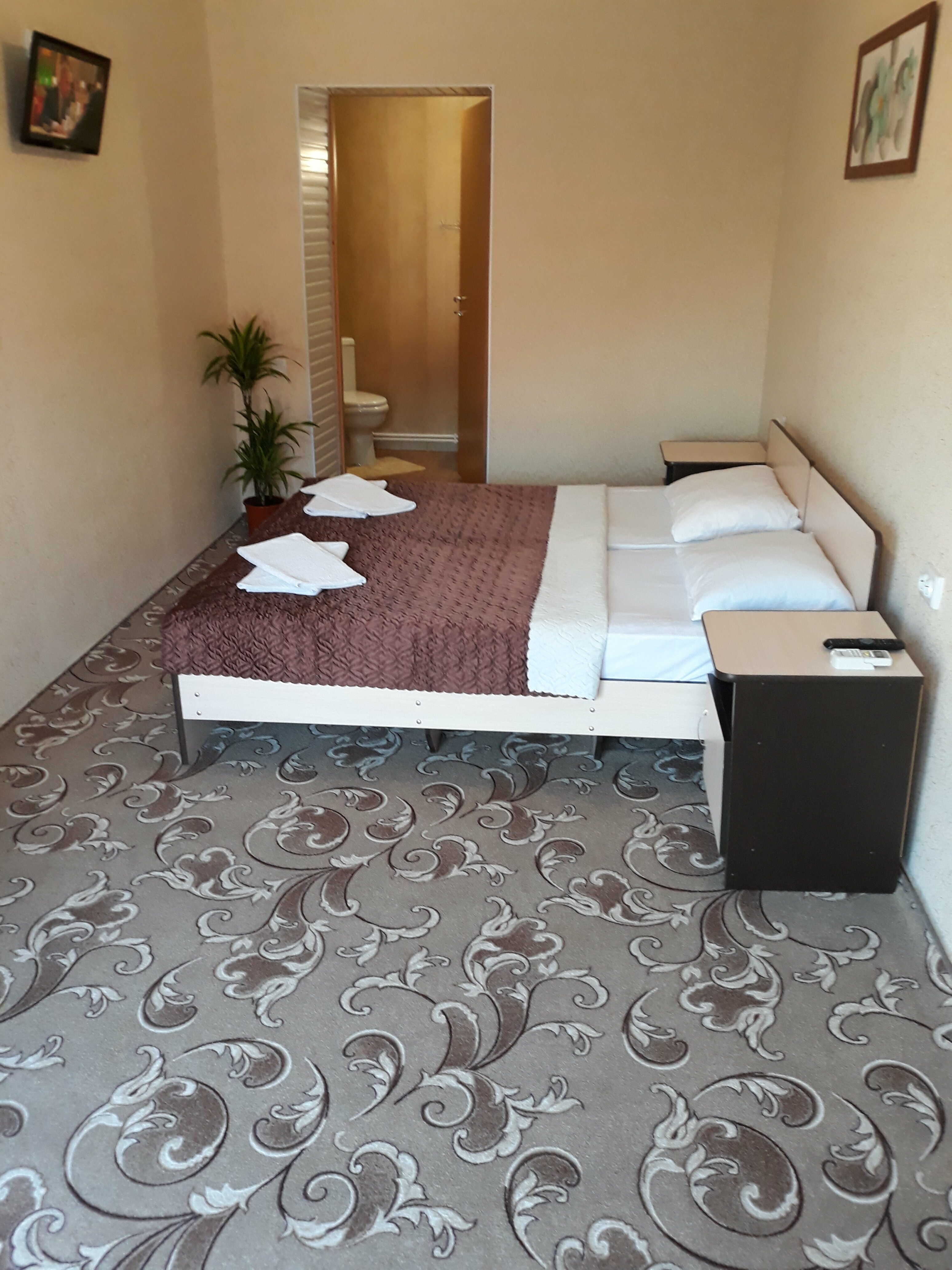 Стандартный двухместный номер с 1 кроватью или 2 отдельными кроватями