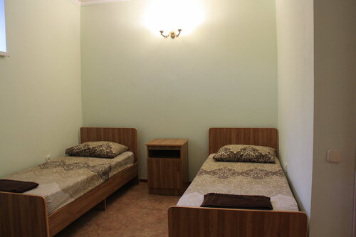 Двухместный номер с 2 отдельными кроватями в Ромашка