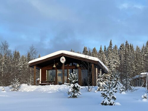 Коттедж с панорамным остеклением, с сауной, на 4х гостей. в Филина Гора