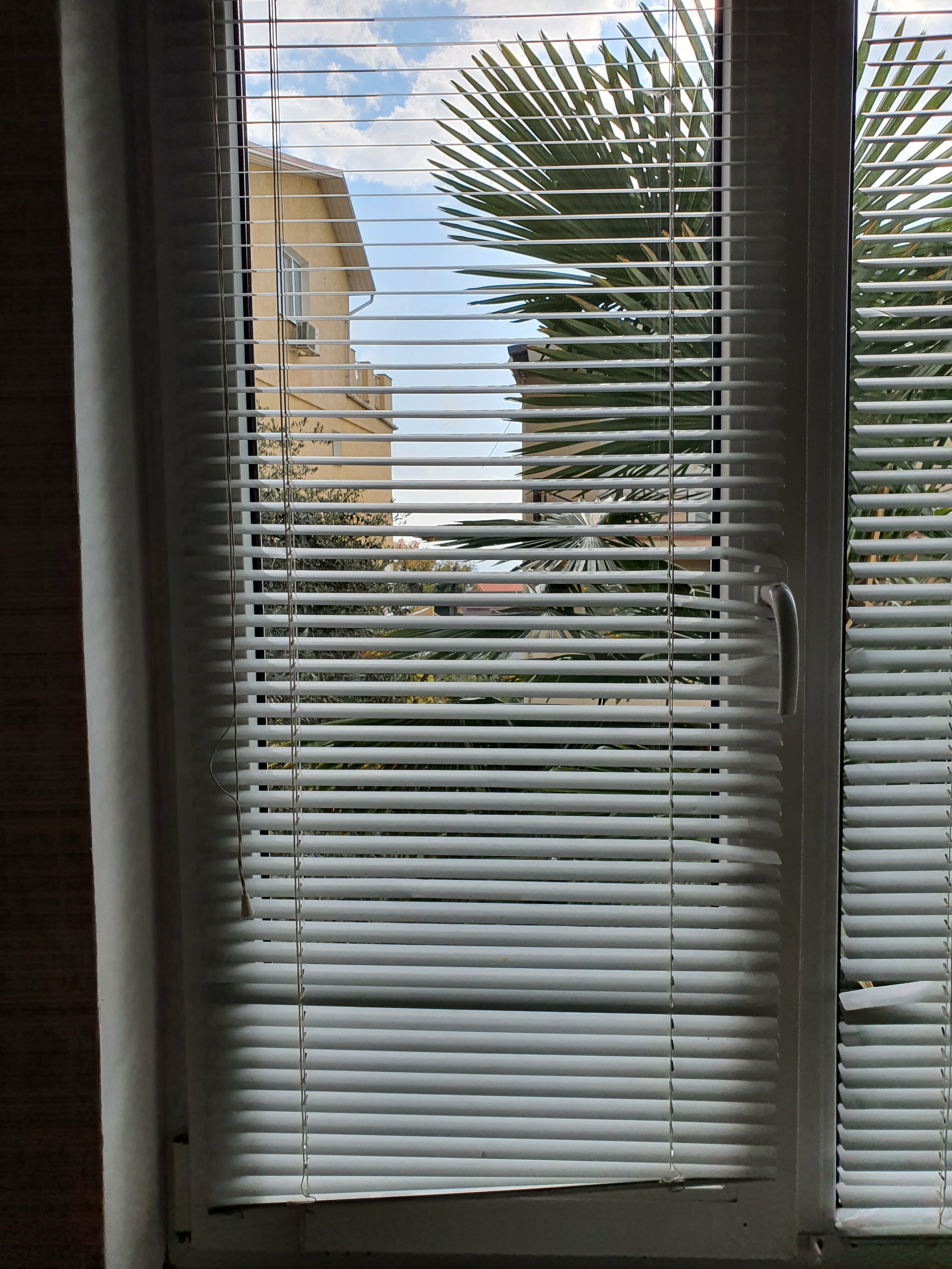 Семейный номер-студия