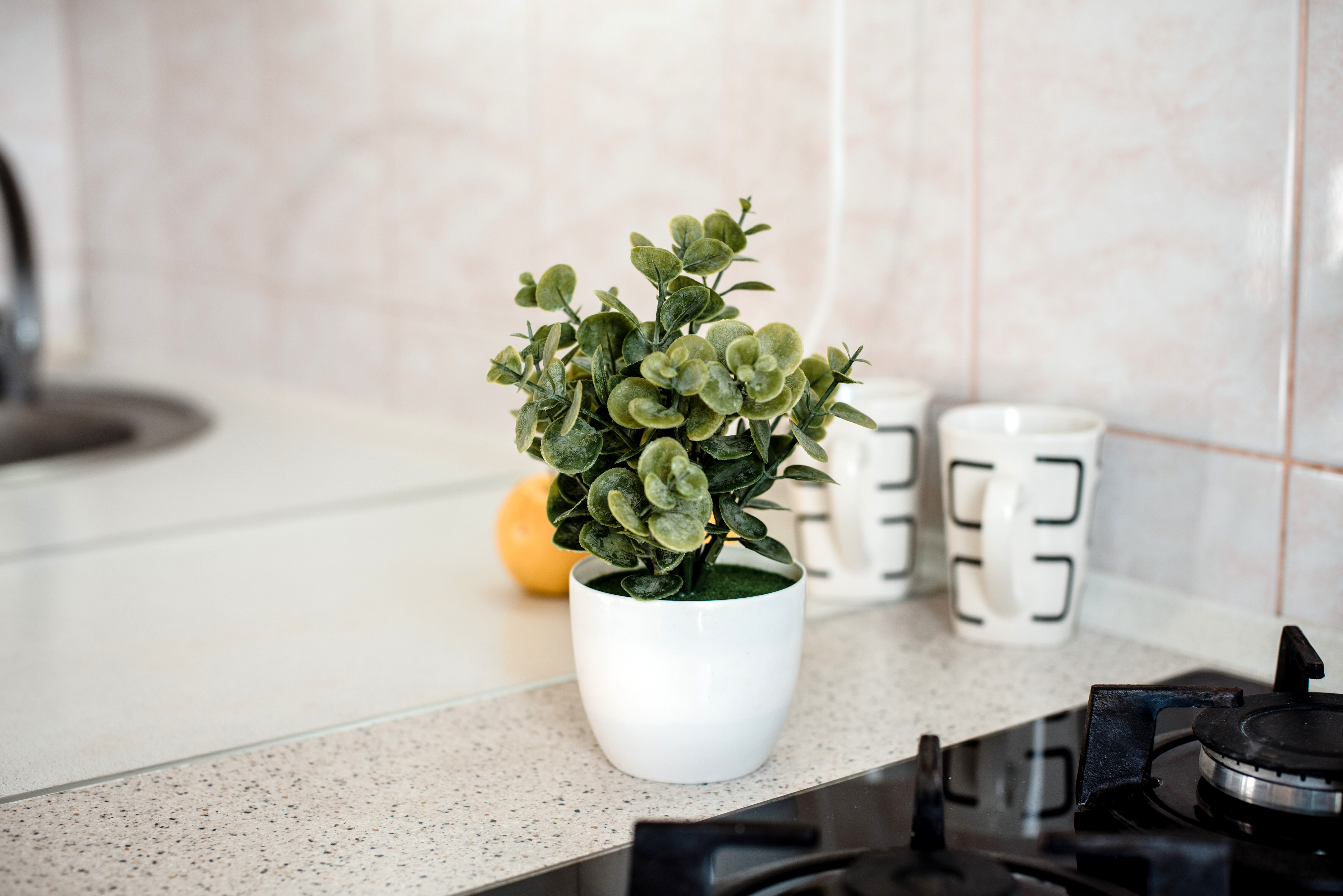 Апартаменты с 2 спальнями