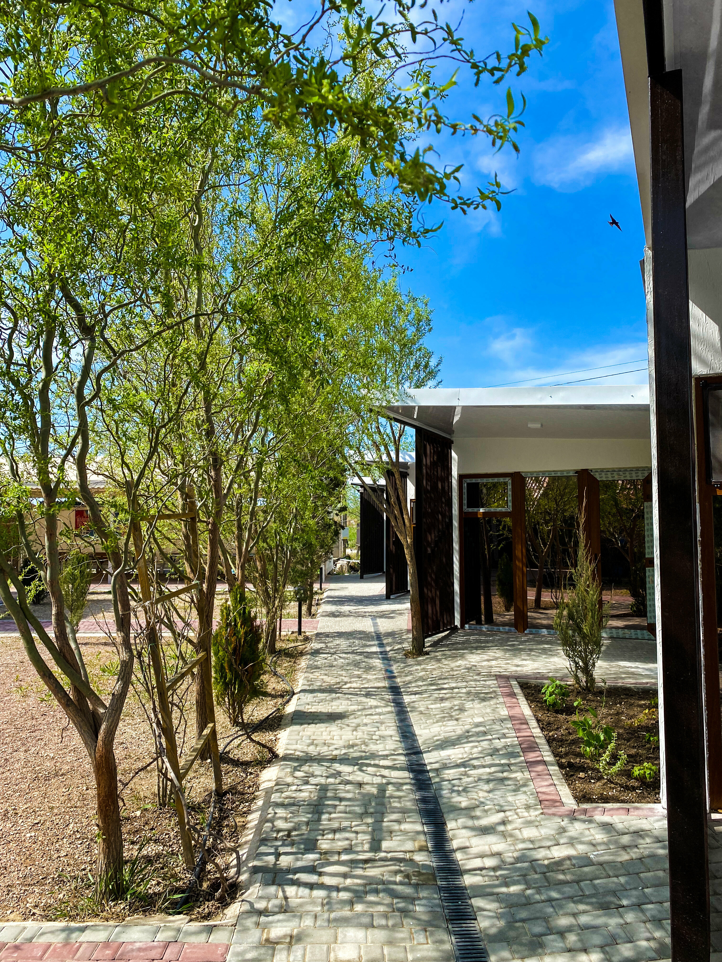 Номер-студия с террасой