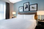 Люкс, 1 двуспальная кровать «Кинг-сайз» с диваном-кроватью в Homewood Suites by Hilton Lexington-Hamburg