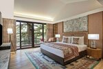 Номер, 1 двуспальная кровать «Кинг-сайз» в Hyatt Regency Dharamshala Resort