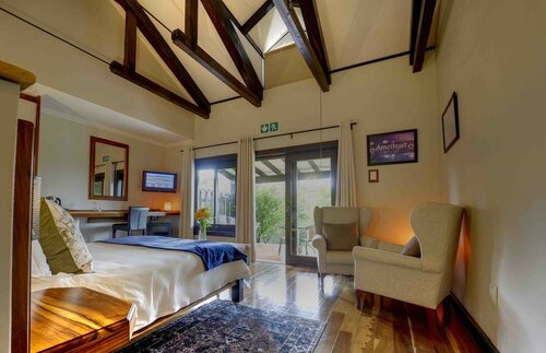 Двухместный номер «люкс» с 1 двуспальной кроватью в Malachite Manor