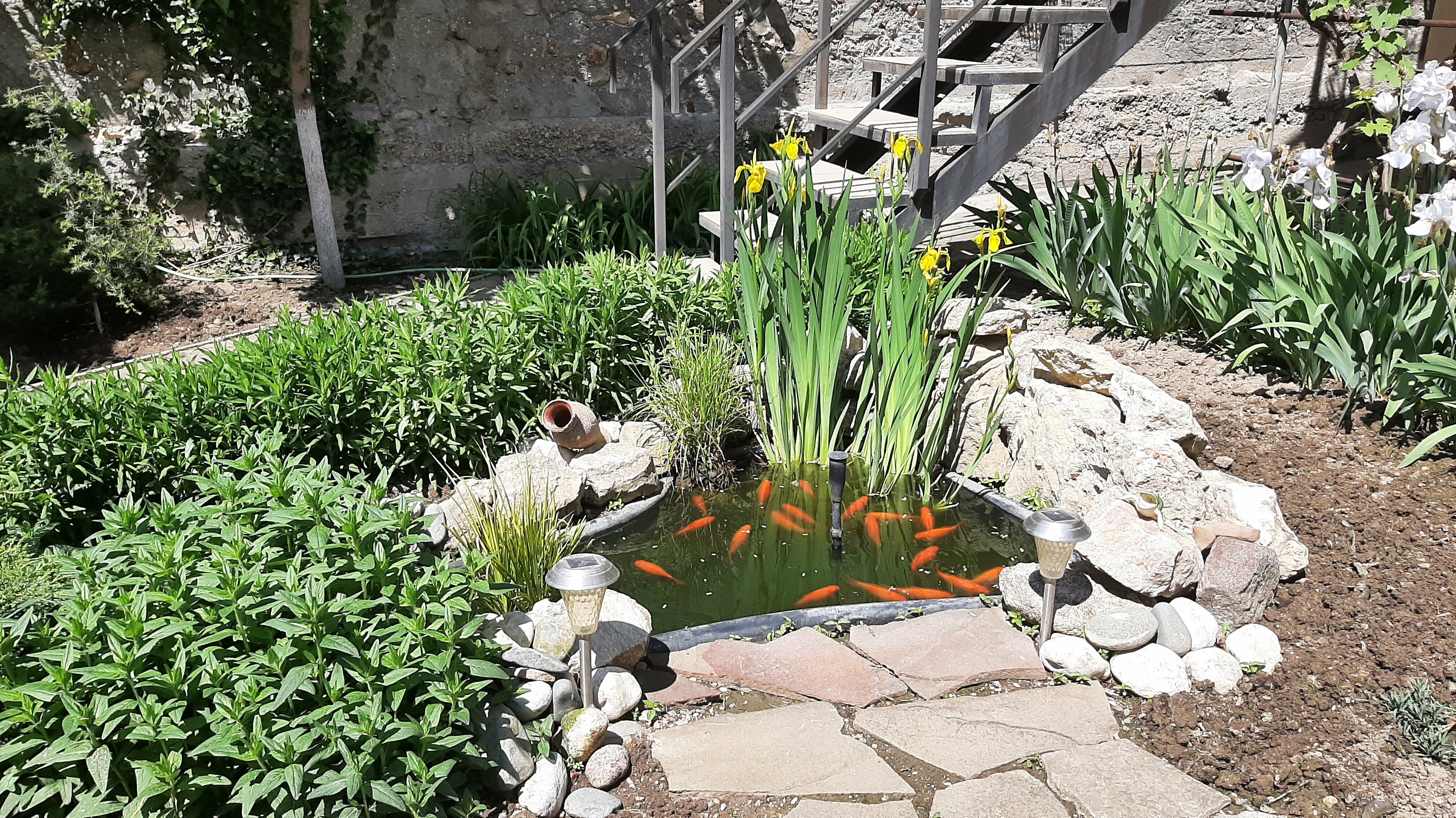 Улучшенный четырехместный номер