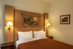 Двухместный номер Делюкс с 1 кроватью или 2 отдельными кроватями в Гранд Отель Поляна