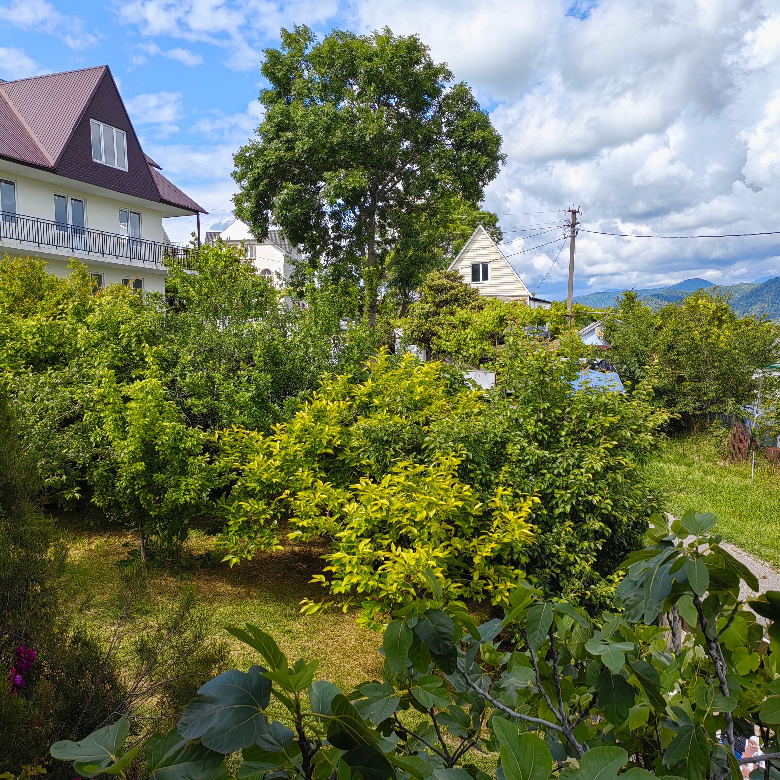 Четырехместный номер «Комфорт»