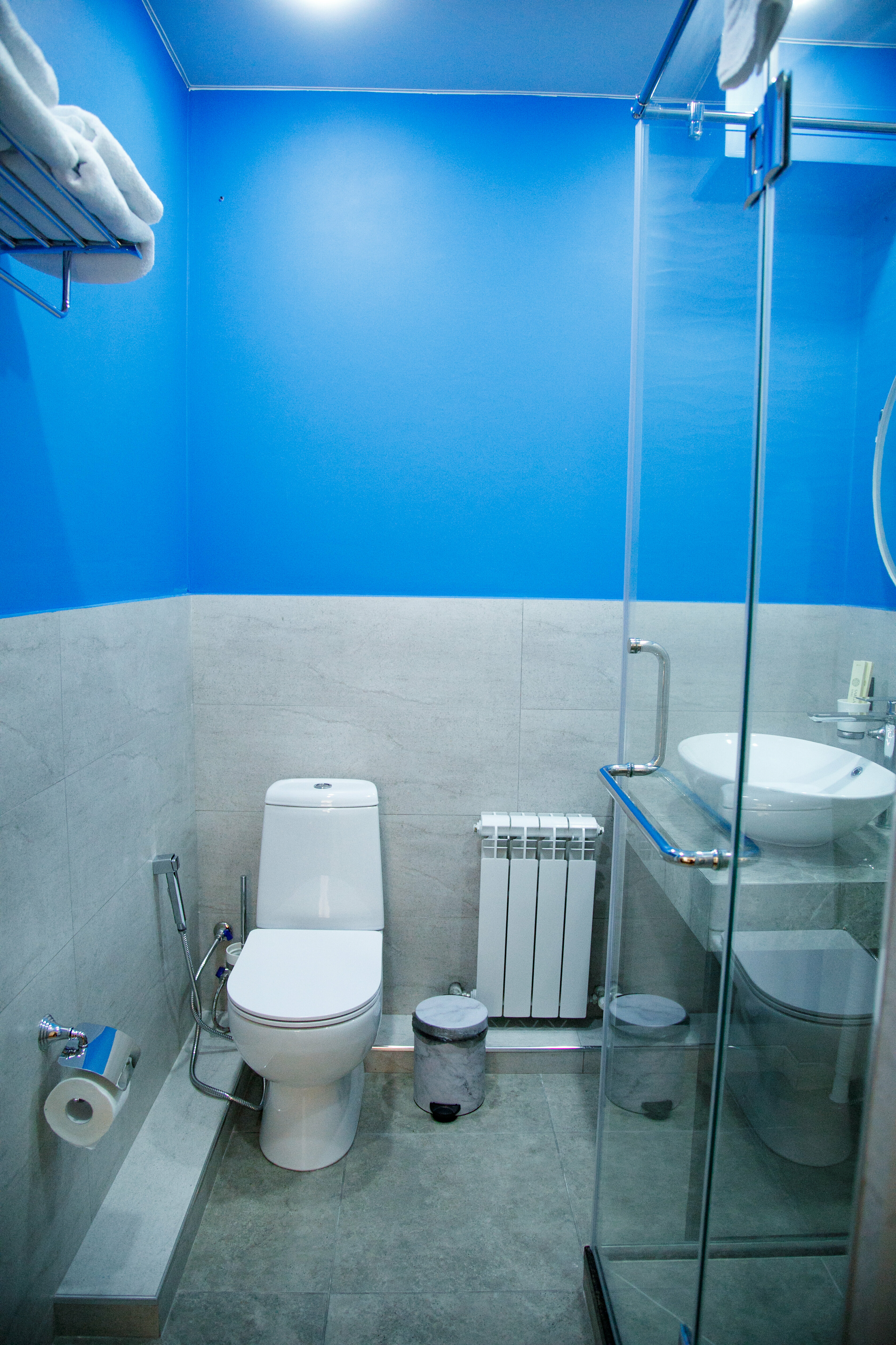 Двухместный номер с 1 кроватью