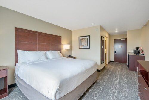 Номер, 1 двуспальная кровать «Кинг-сайз», для некурящих в Cobblestone Hotel & Suites - Two Rivers