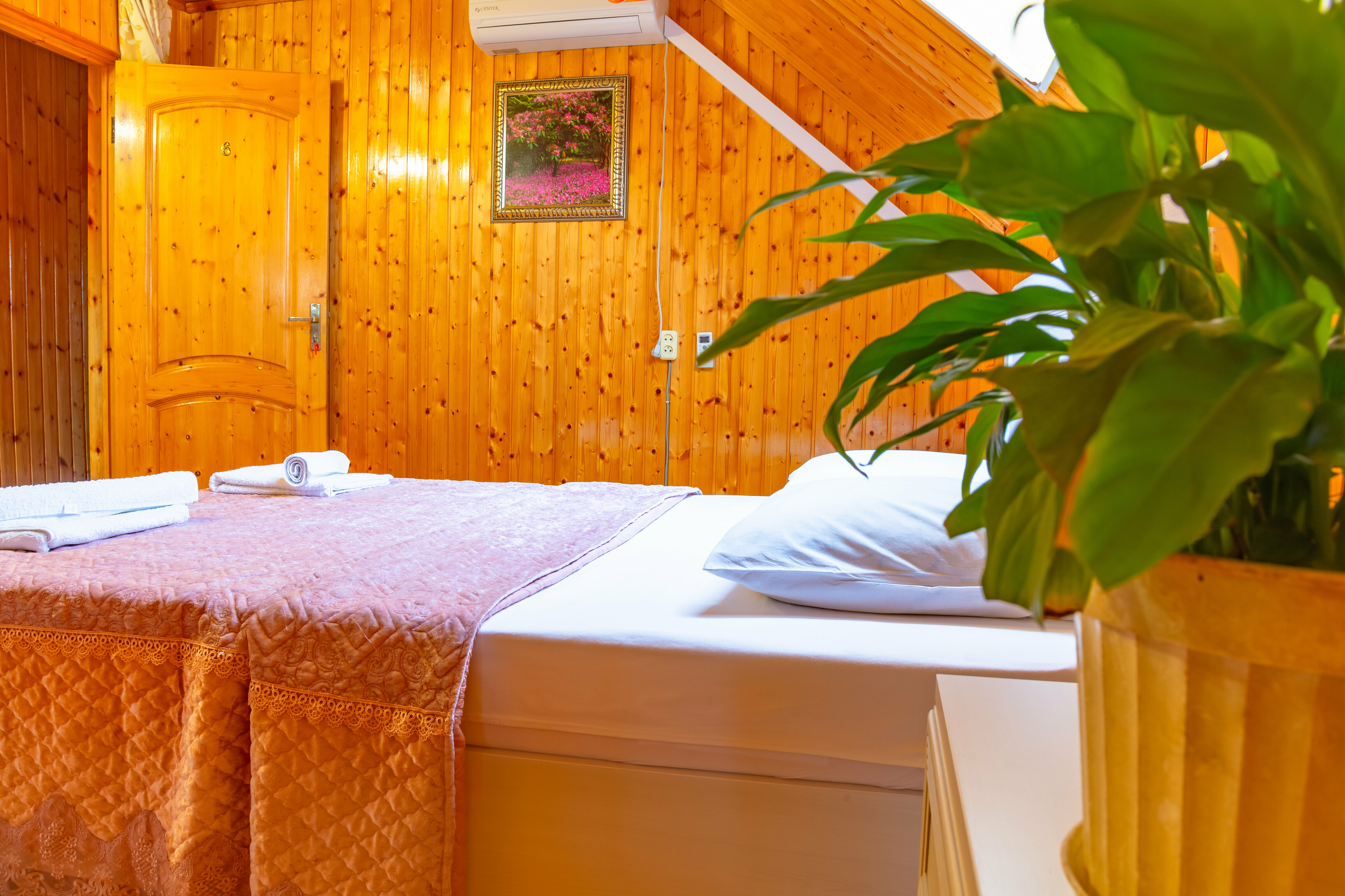 Двухместный номер Делюкс с 1 кроватью