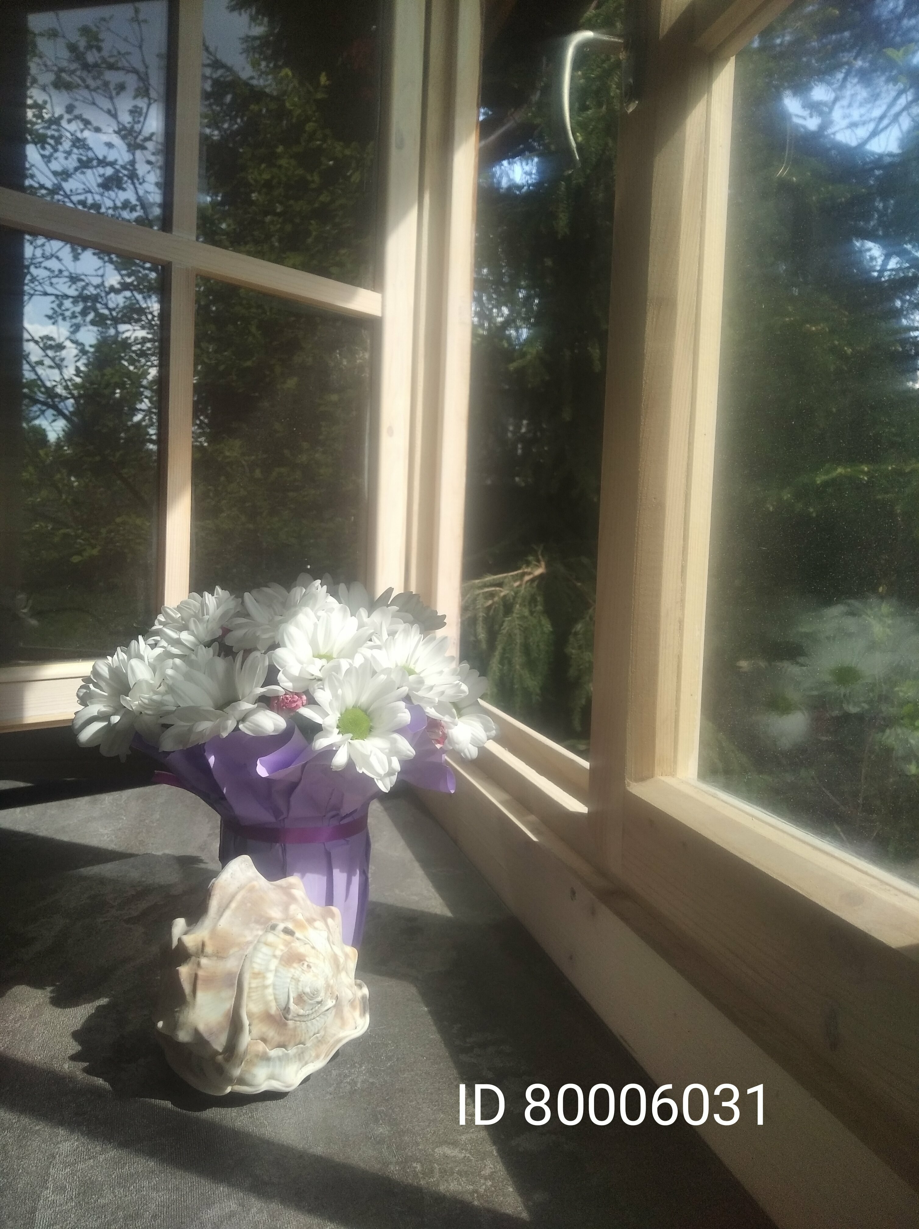 Трехместный номер с террасой