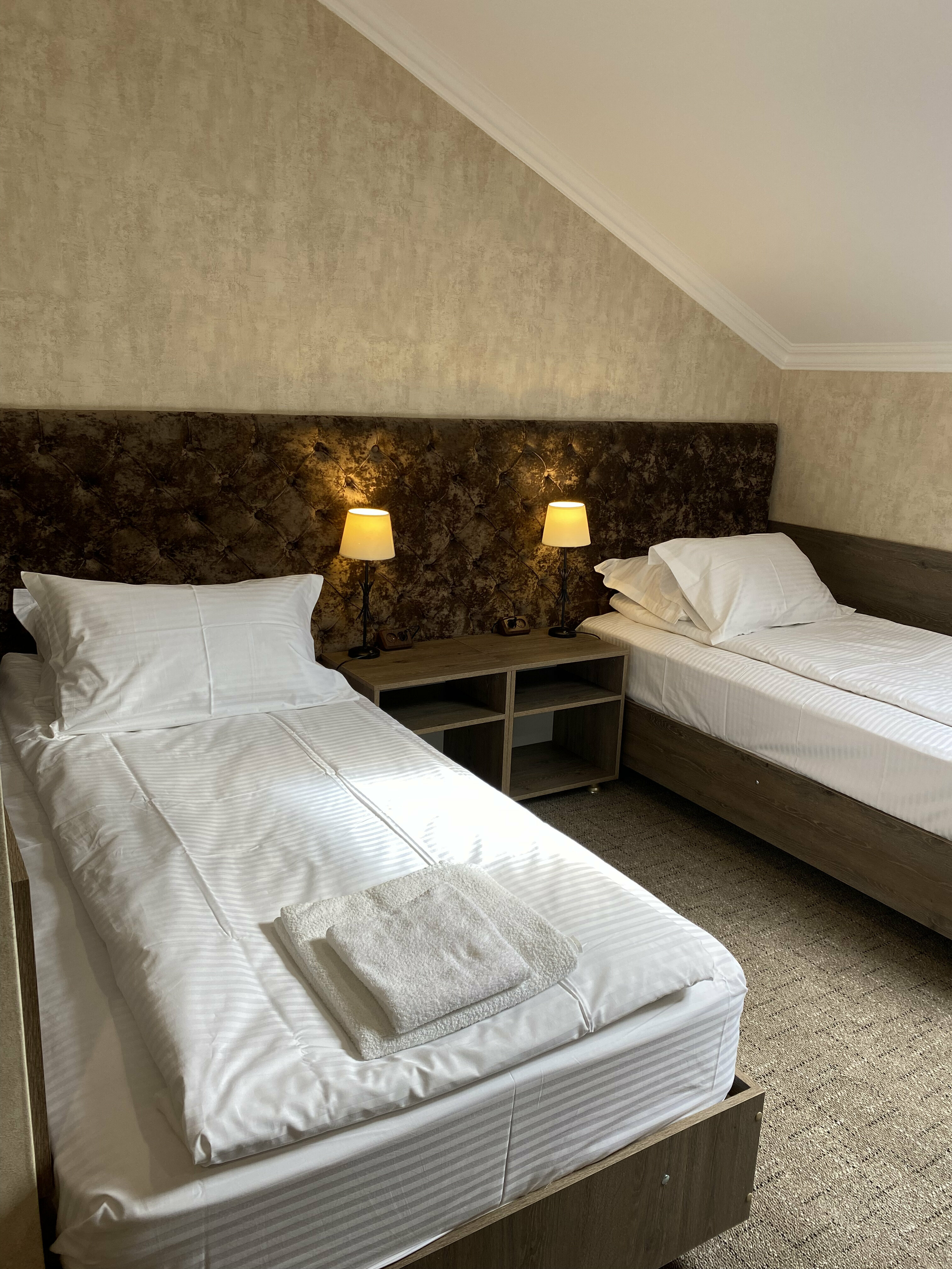 Двухместный номер с 2 отдельными кроватями и ванной