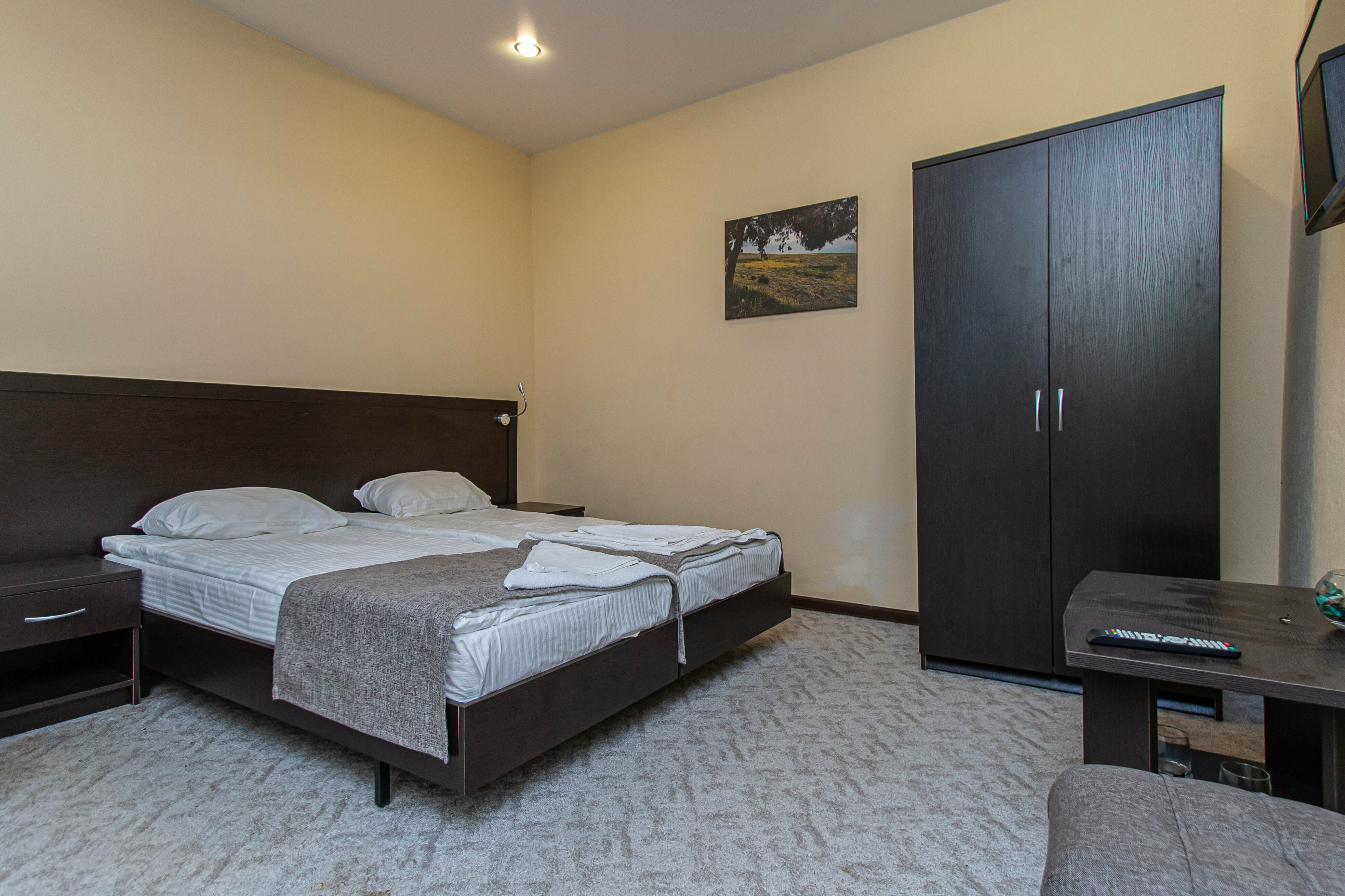 Таунхаус с выходом во двор