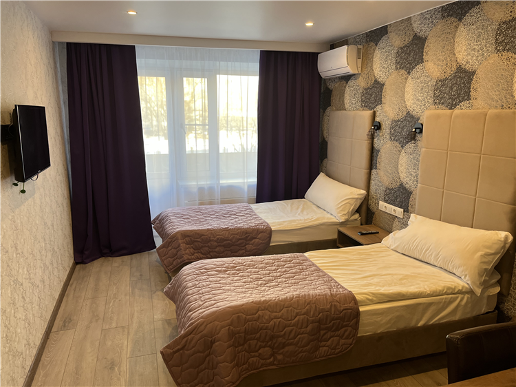 Двухместный номер Делюкс с 2 отдельными кроватями