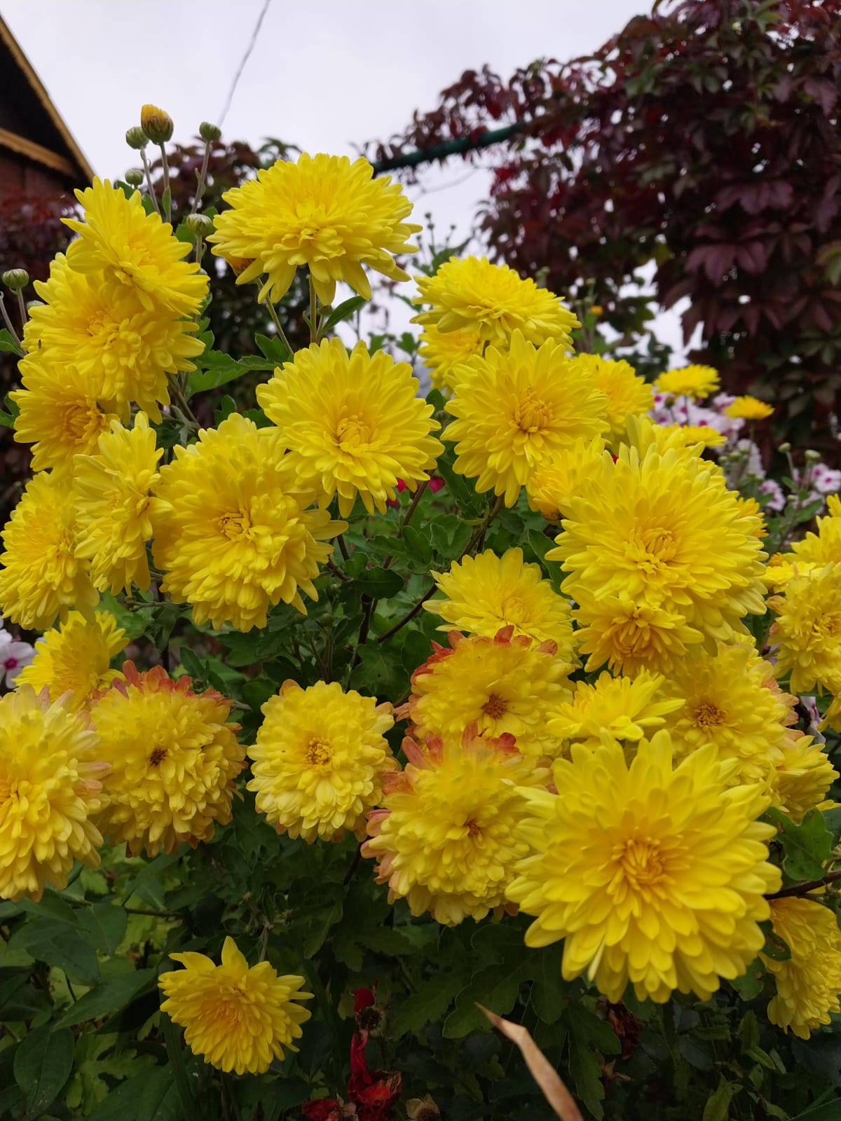 Семейный номер с ванной комнатой