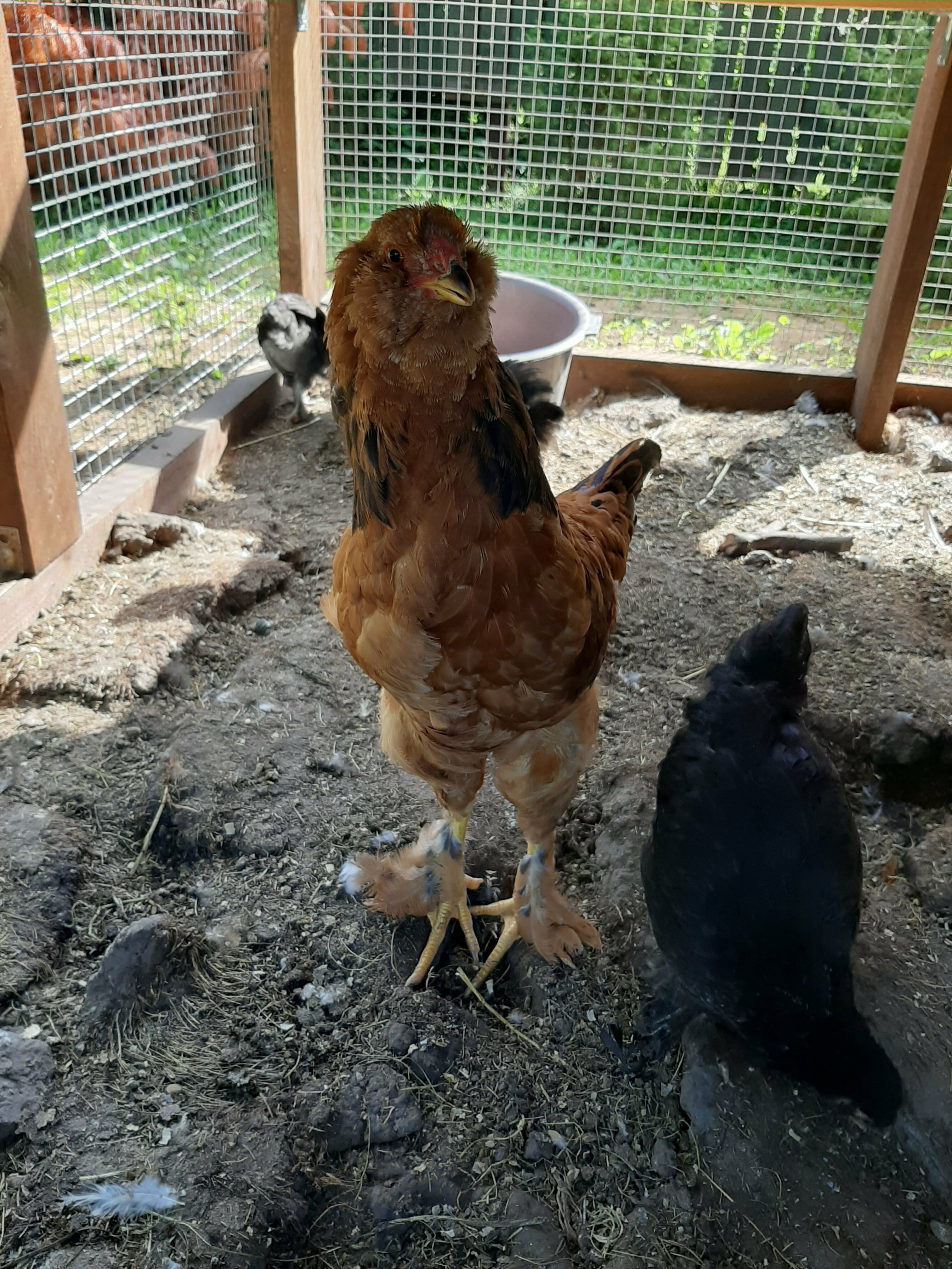 Семейный номер с ванной комнатой