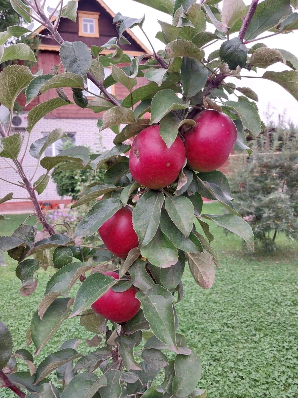 Семейный номер с ванной комнатой