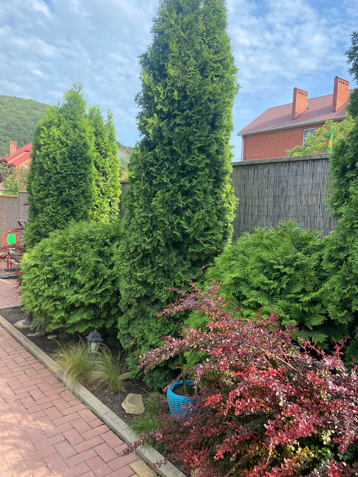 Дом с 1 спальней