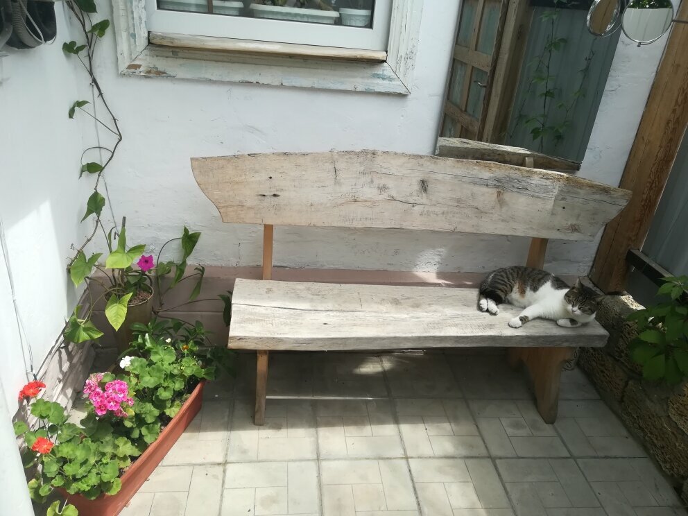 Бюджетный трехместный номер