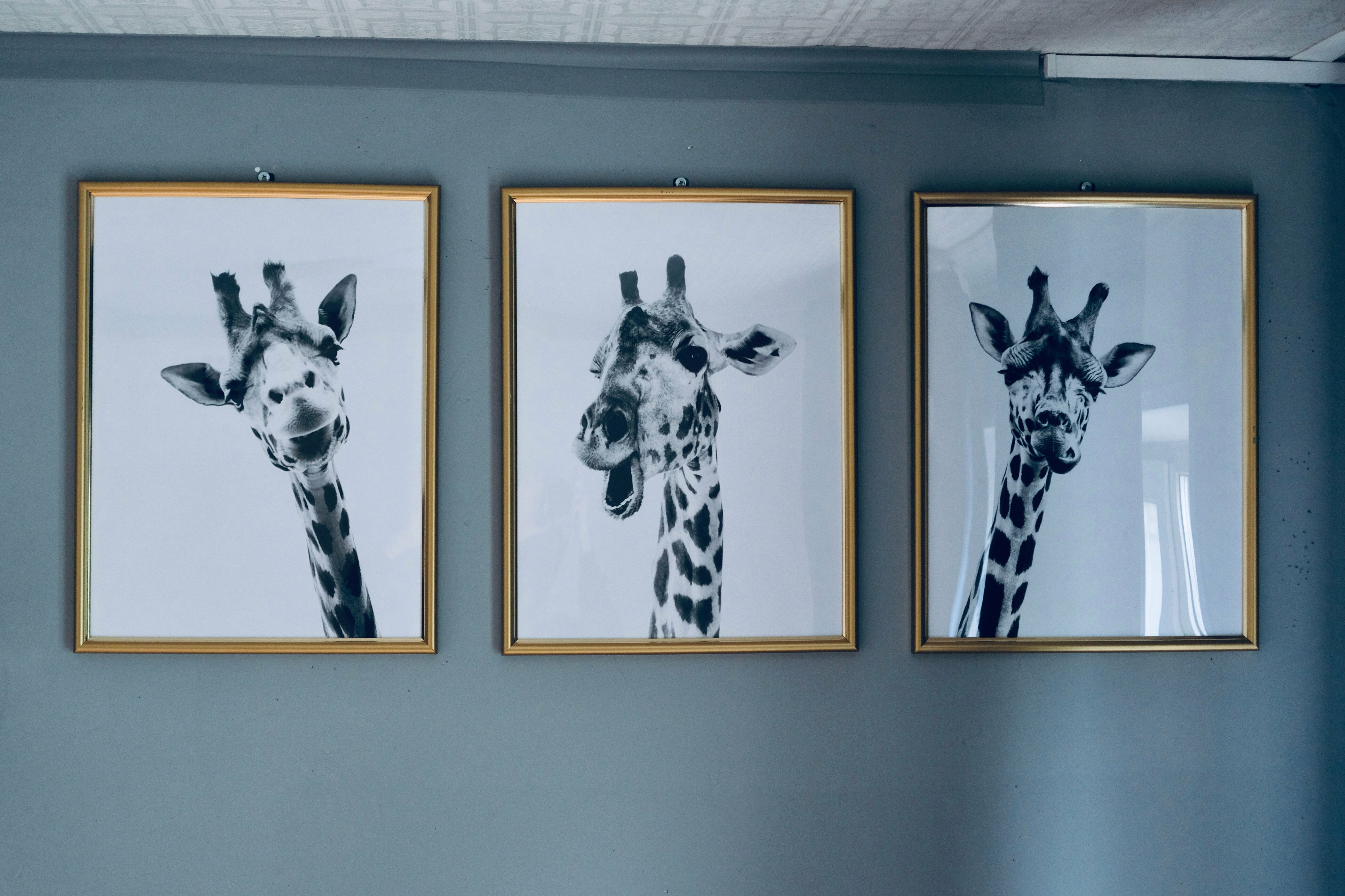 Одноместный номер с общим душем и туалетом