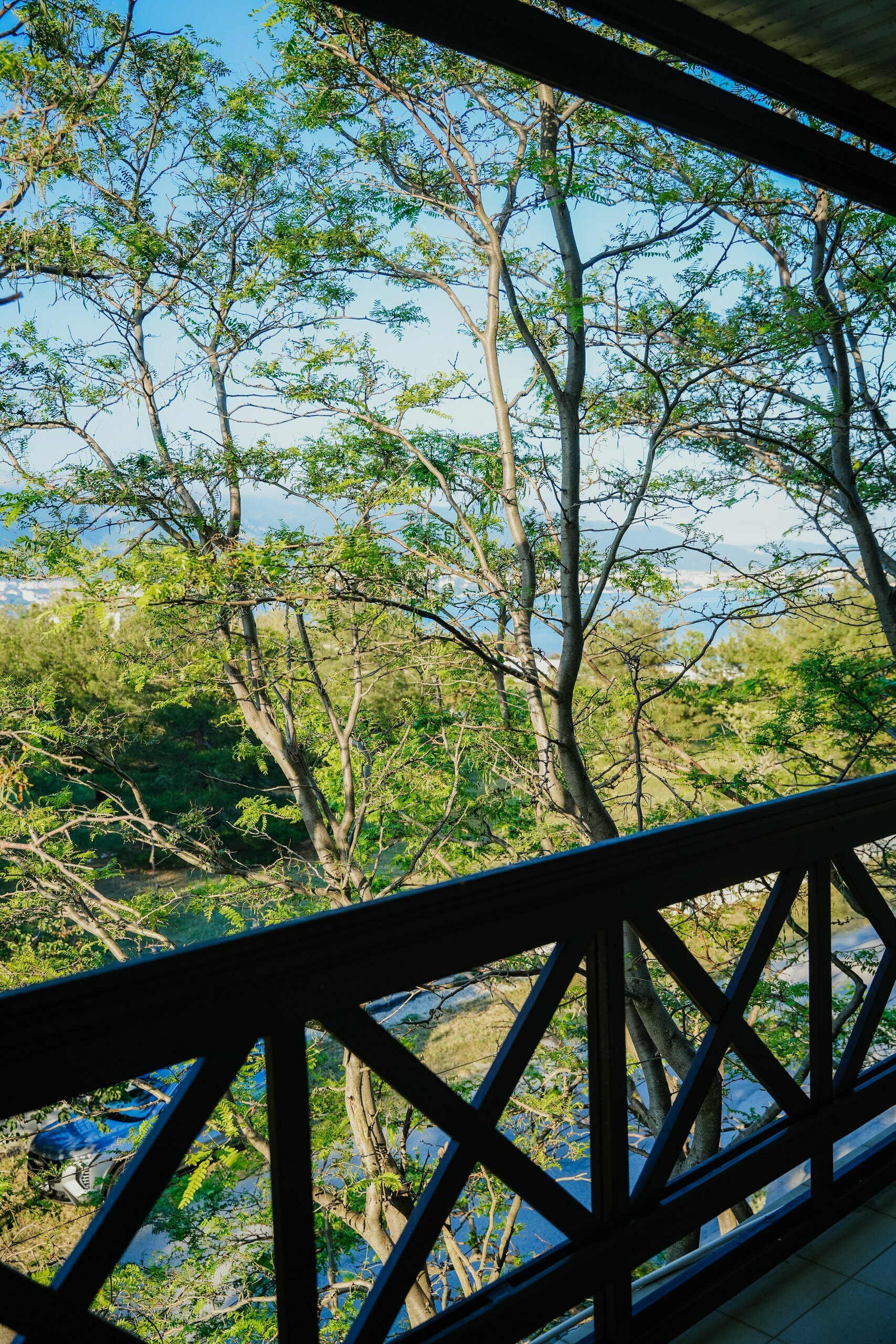 Двухместный номер с 1 кроватью и балконом, вид на море