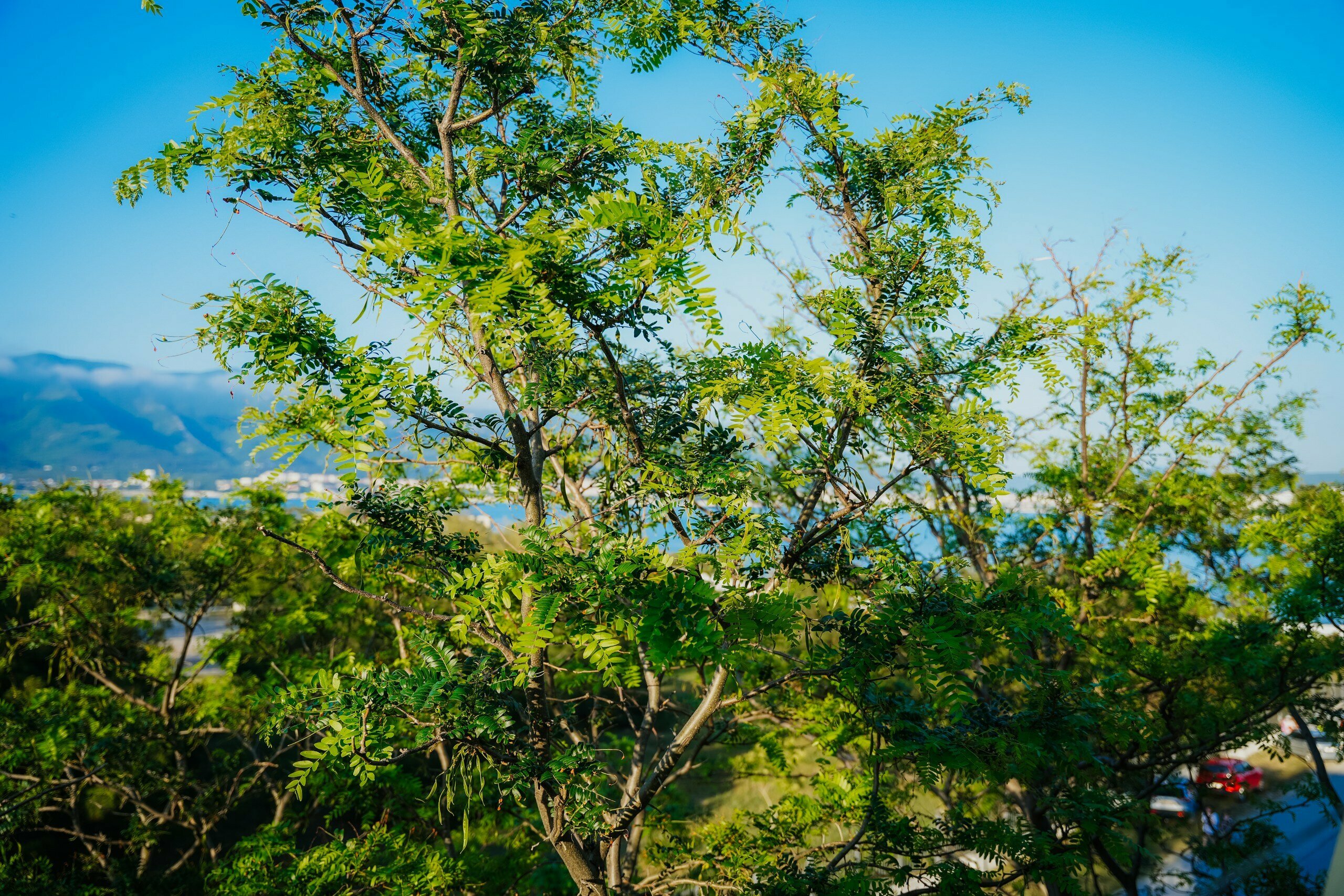 Семейный номер